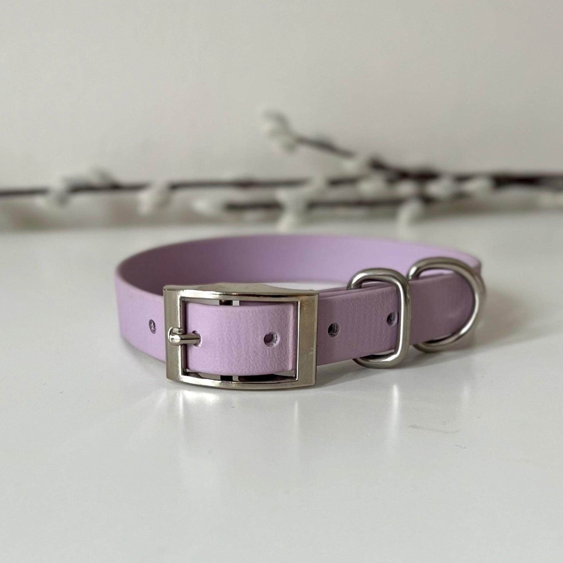 A lavender Biothane dog collar with silver hardware sitting on a white surface