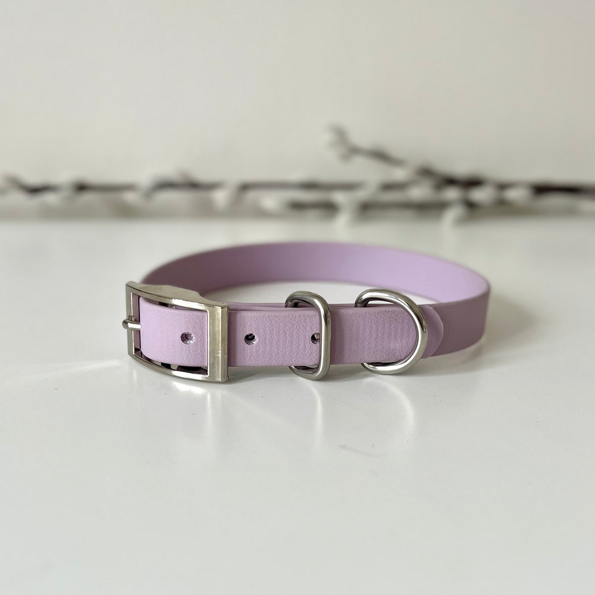 A lavender Biothane dog collar with silver hardware sitting on a white surface