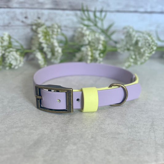 Two tone dog collar in Lavender & Yellow. The collar strap is two colours fixed together with a rivet. The collar has a Biothane strap keeper and a metal D-ring with 5 x punched holes. All hardware is Antique Brass