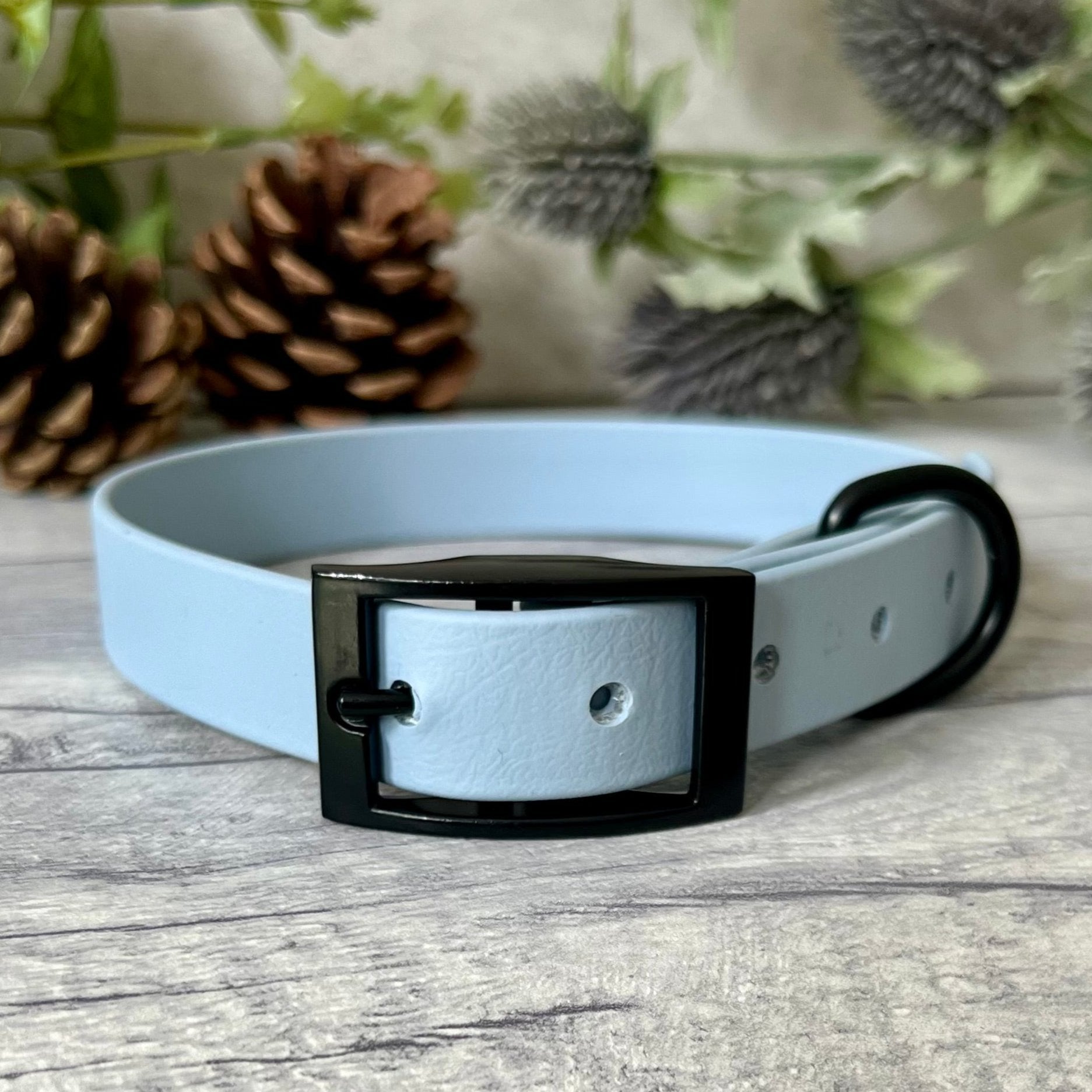 Pastel Blue Biothane dog collar with Black hardware. The collar is fastened with a buckle and has a d-ring. There are 5 punched holes spaced 2cm apart.