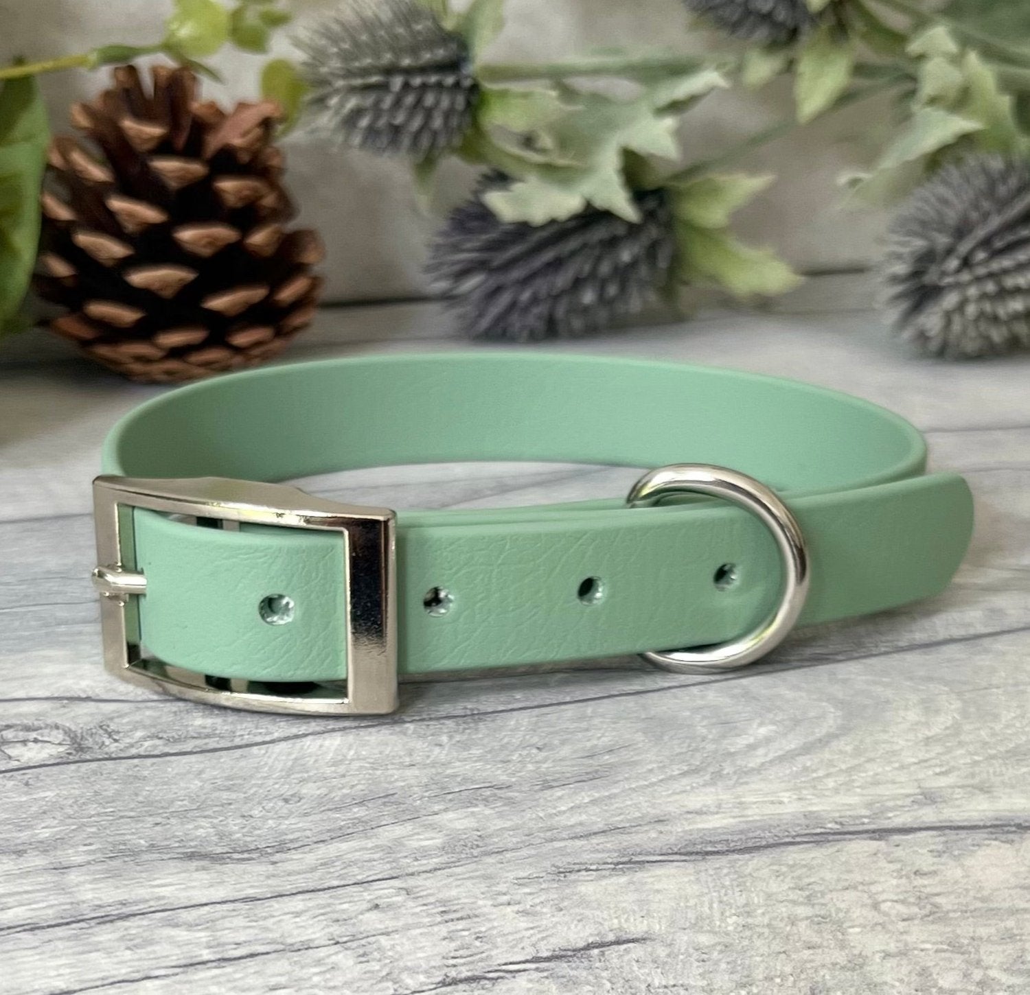 Biothane custom collar in Sage Green with Silver buckle and a D-ring. The collar has 5 holes which are spaced 2cm apart. Soft leather appearance