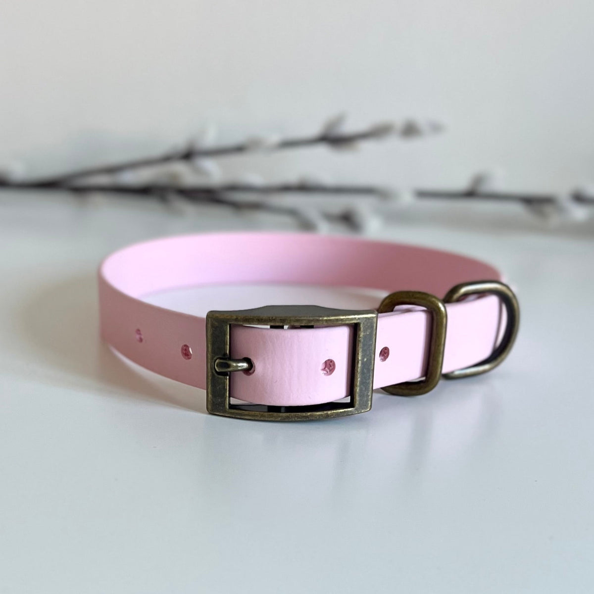 A light pink Biothane dog collar with an antique bronze buckle, displayed on a clean white surface with a soft-focus branch in the background.