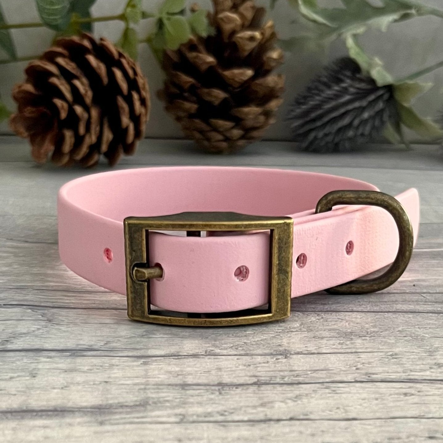 Pink collar with Antique Brass buckle and D-ring. The collar is fastened and has 5 punched holes spaced 2cm apart