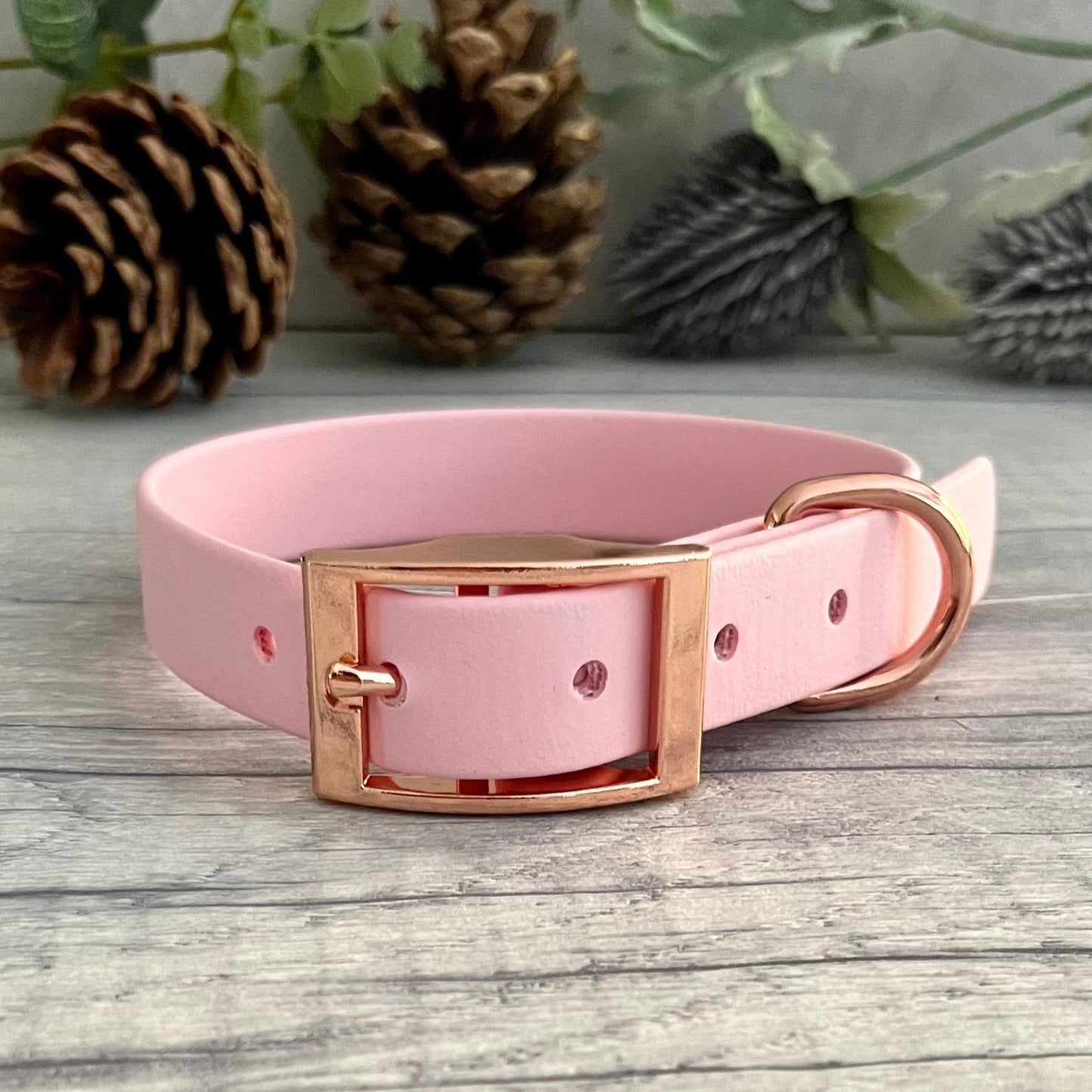 Pink collar with Rose Gold buckle and D-ring. The collar is fastened and has 5 punched holes spaced 2cm apart