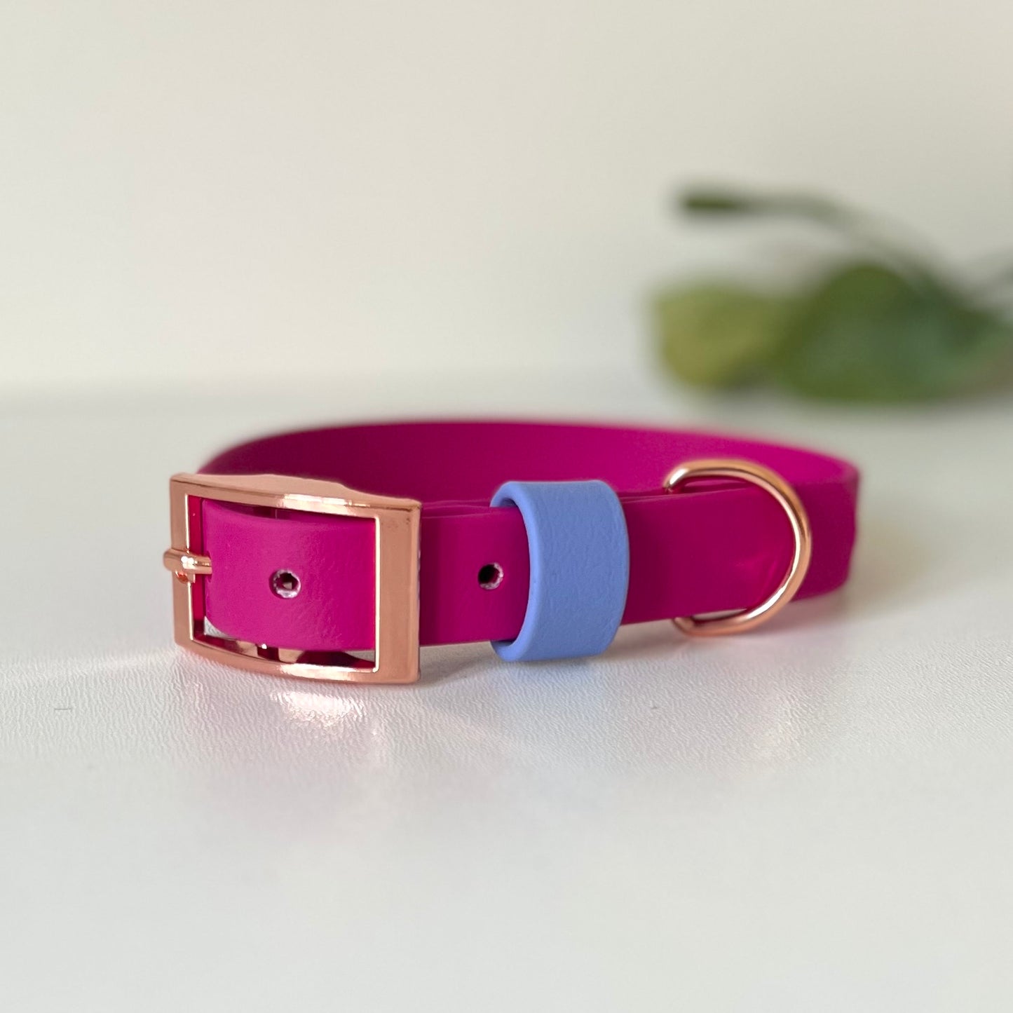 Pink dog collar with rose gold hardware
