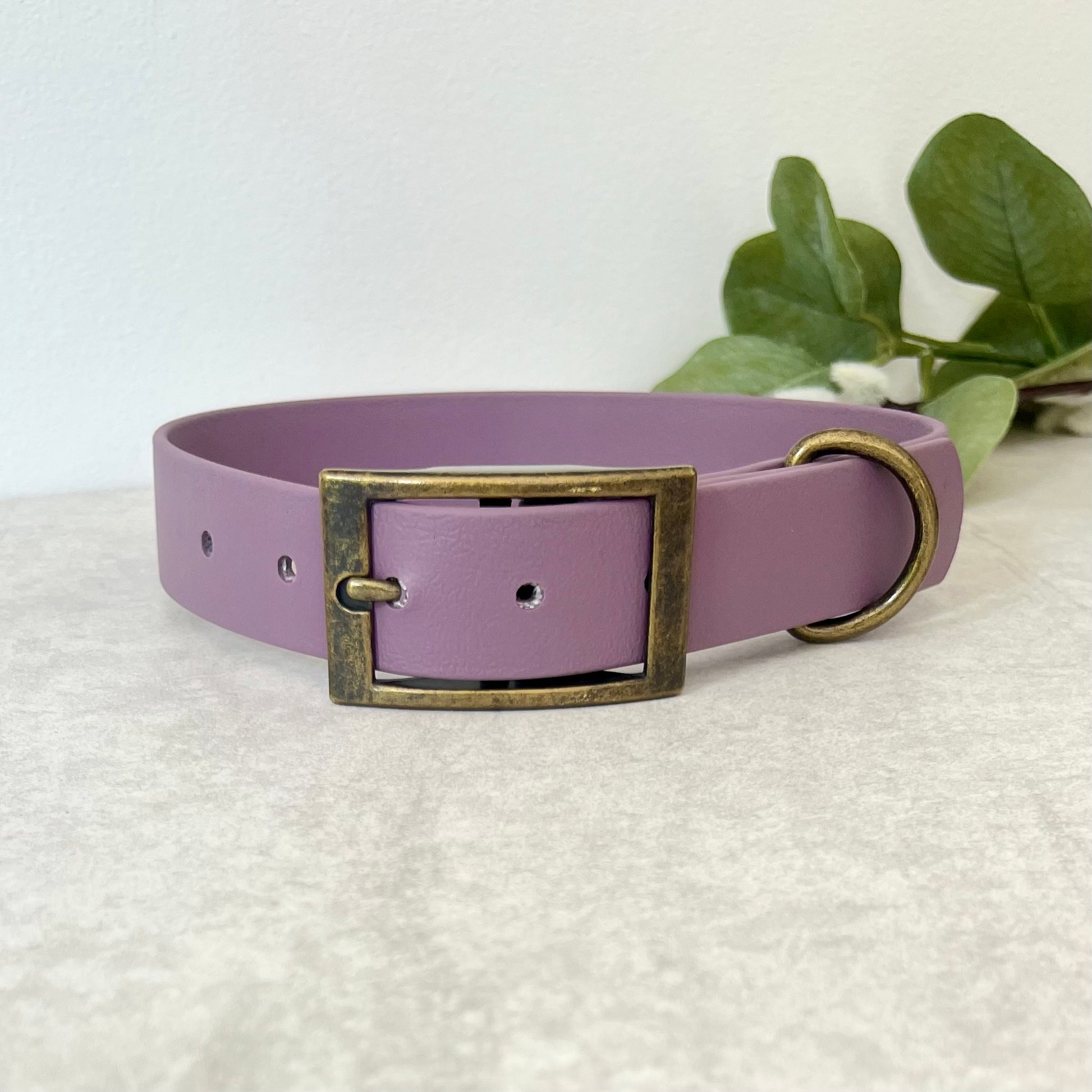 Mauve Biothane dog collar with Antique Brass hardware. The collar is fastened with a buckle and has a d-ring. There are 5 punched holes spaced 2cm apart.