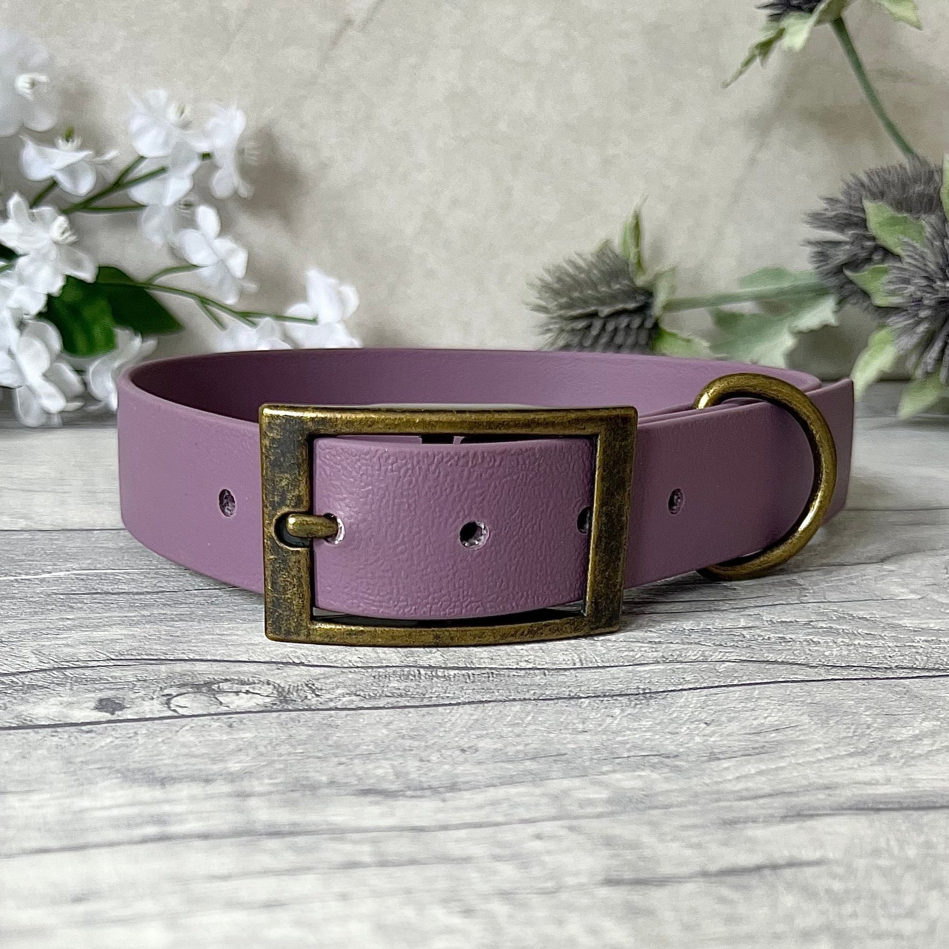 Mauve Biothane dog collar with Antique Brass hardware. The collar is fastened with a buckle and has a d-ring. There are 5 punched holes spaced 2cm apart.