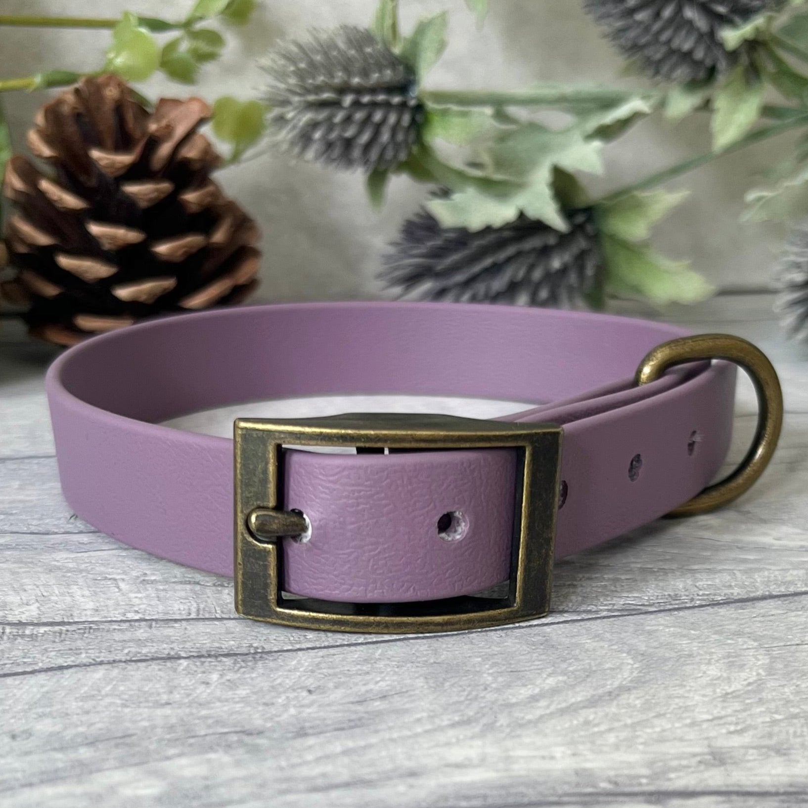 Mauve Biothane dog collar with Antique Brass hardware. The collar is fastened with a buckle and has a d-ring. There are 5 punched holes spaced 2cm apart.