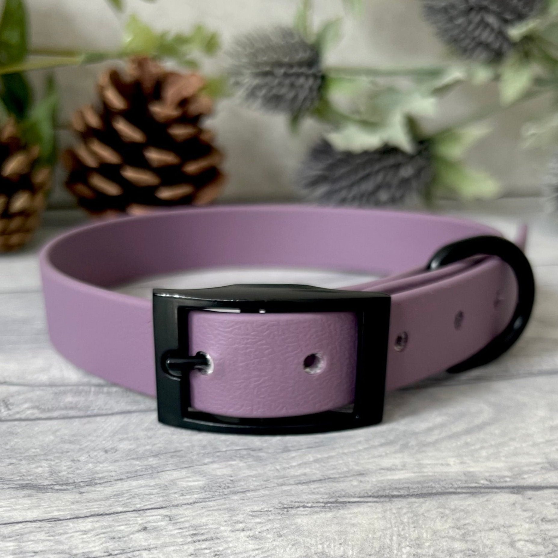 Mauve Biothane dog collar with Black hardware. The collar is fastened with a buckle and has a d-ring. There are 5 punched holes spaced 2cm apart.