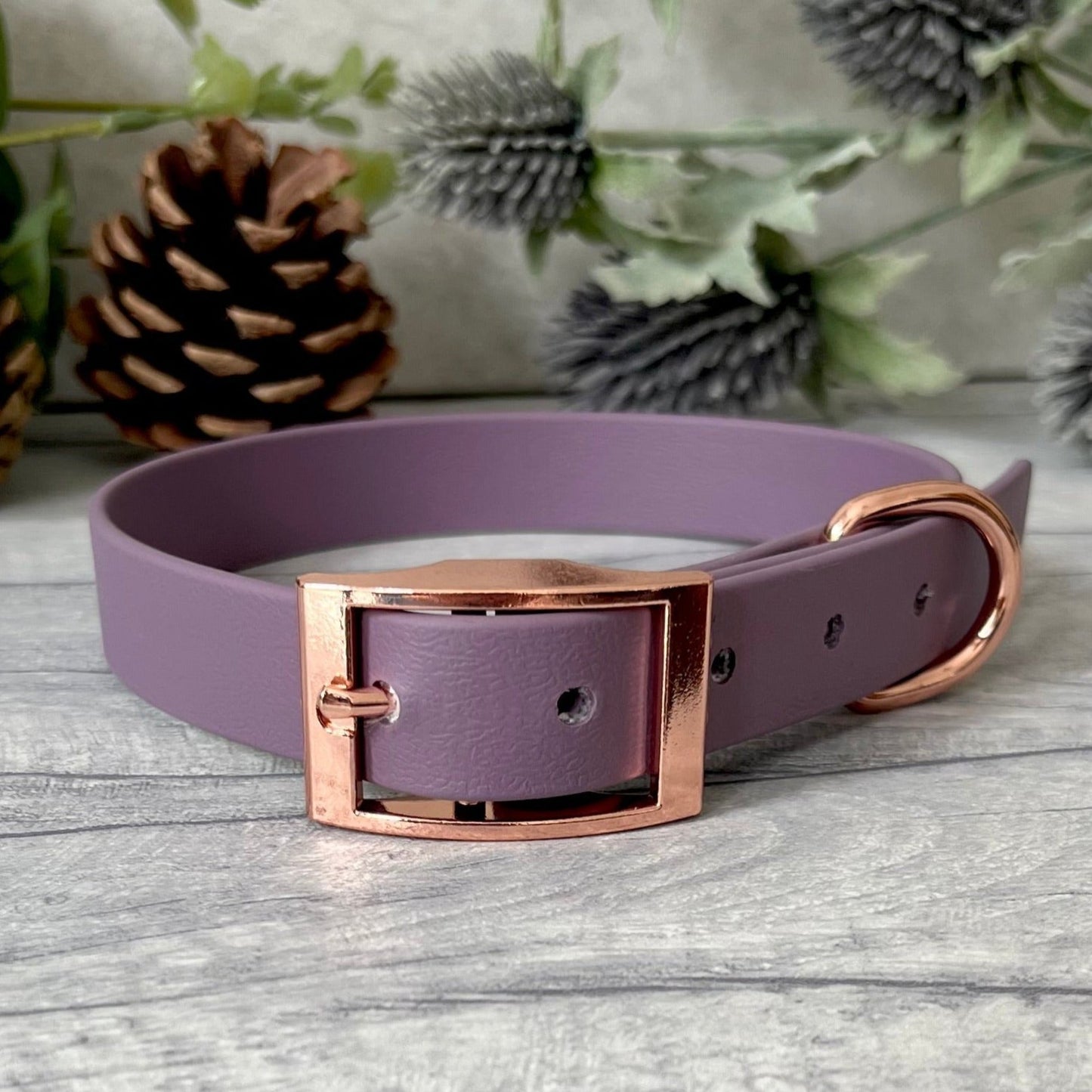 Mauve Biothane dog collar with Rose Gold hardware. The collar is fastened with a buckle and has a d-ring. There are 5 punched holes spaced 2cm apart.