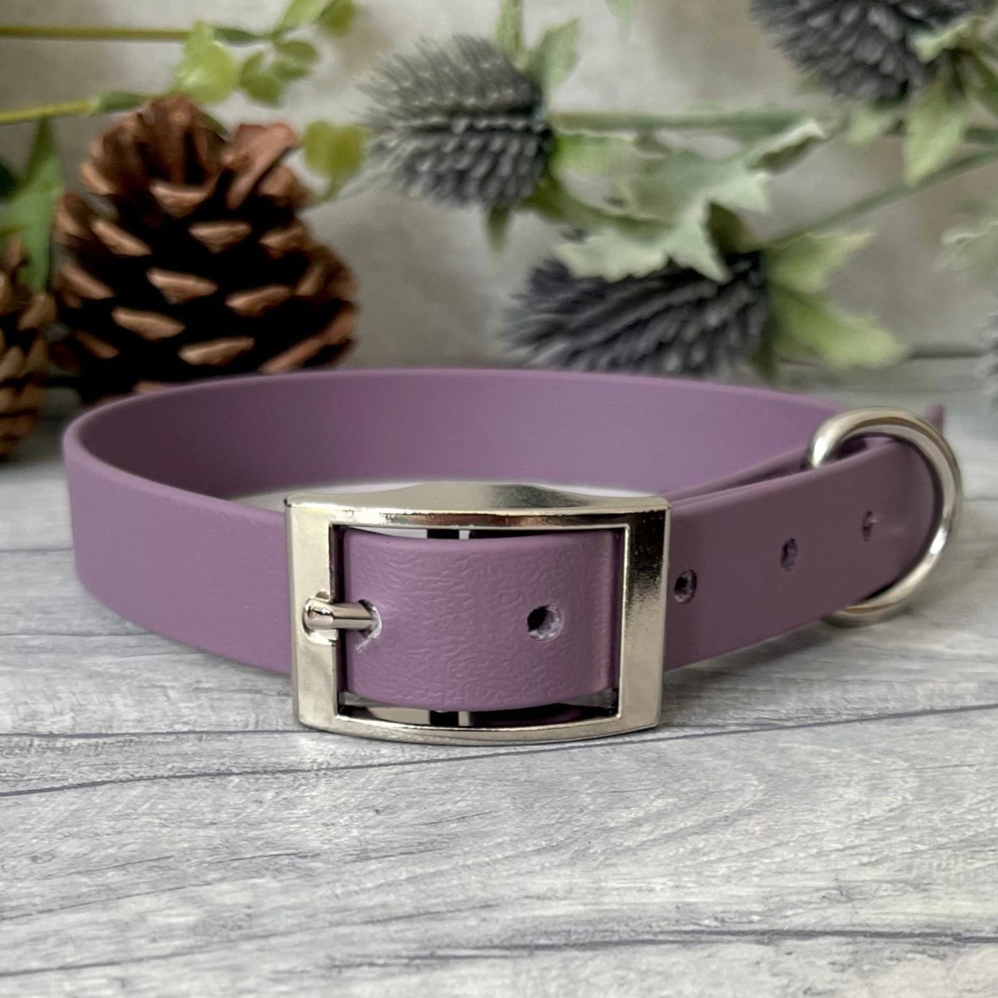 Mauve Biothane dog collar with Silver hardware. The collar is fastened with a buckle and has a d-ring. There are 5 punched holes spaced 2cm apart.