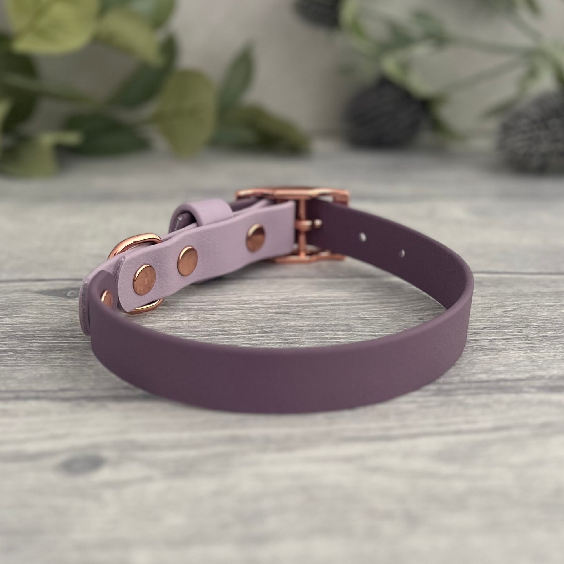 Two tone dog collar in Mauve and Lavender. The collar strap is two colours fixed together with a rivet. The collar has a Biothane strap keeper and a metal D-ring with 5 x punched holes. All hardware is Rose Gold