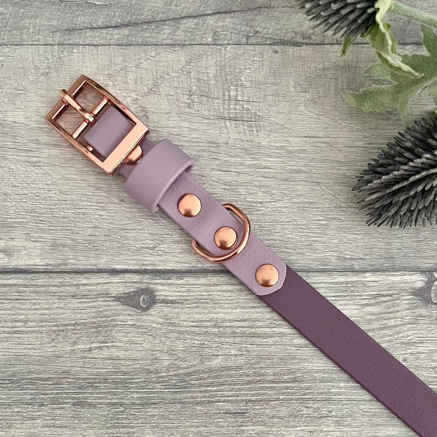 Two tone dog collar in Mauve and Lavender. The collar strap is two colours fixed together with a rivet. The collar has a Biothane strap keeper and a metal D-ring with 5 x punched holes. All hardware is Rose Gold