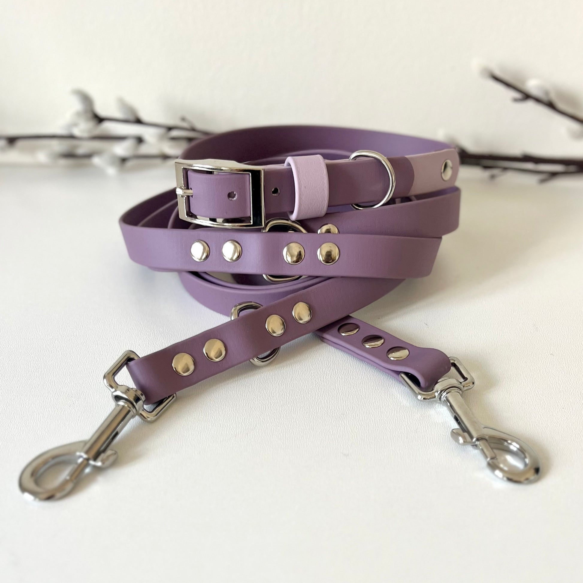 A mauve Biothane dog collar with silver-tone hardware, including a buckle, D-ring, and metal studs, sitting on a coiled mauve Biothane lead on a light surface with decorative branches in the background.