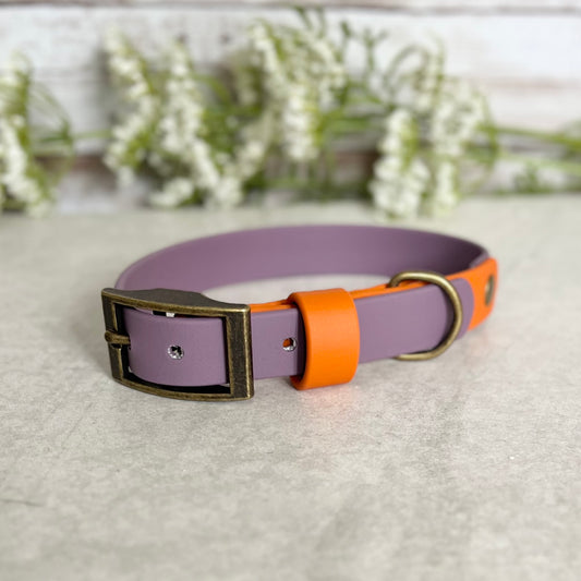 Two tone dog collar in Mauve and Orange. The collar strap is two colours fixed together with a rivet. The collar has a Biothane strap keeper and a metal D-ring with 5 x punched holes. All hardware is Antique Brass