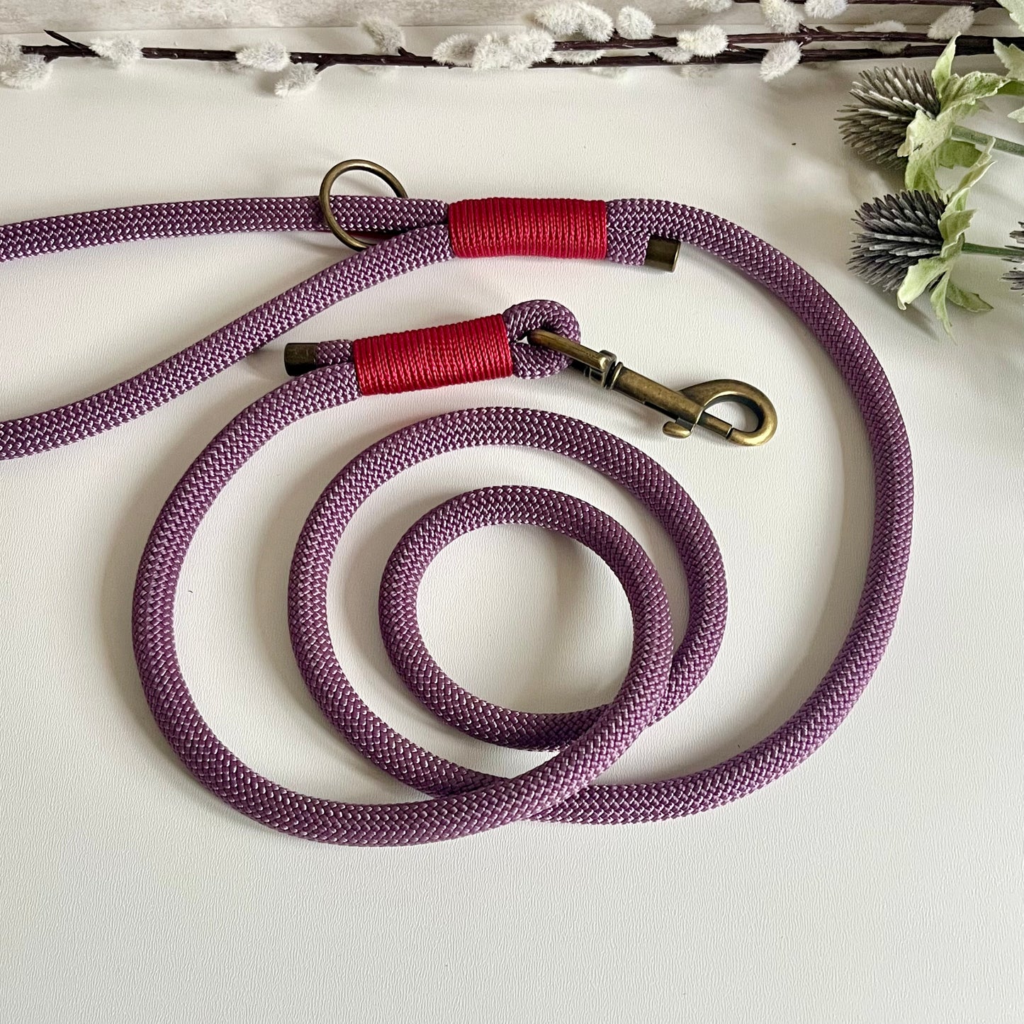 Mauve rope dog lead with antique brass hardware and Raspberry whipping