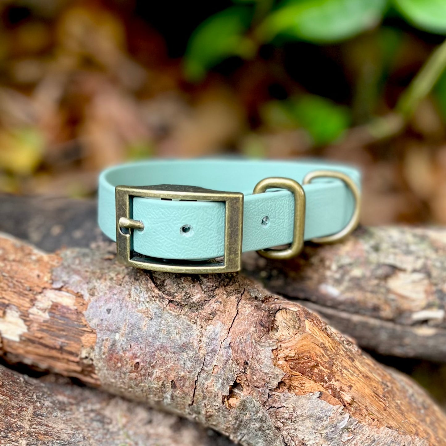 Sage Green biothane dog collar with brass buckle on a wooden log