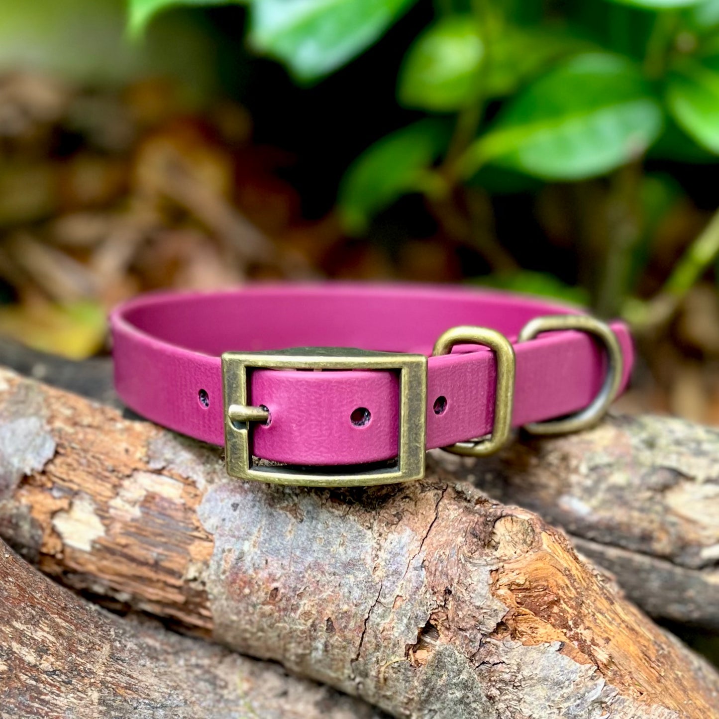 Wine red biothane dog collar with antique brass hardware