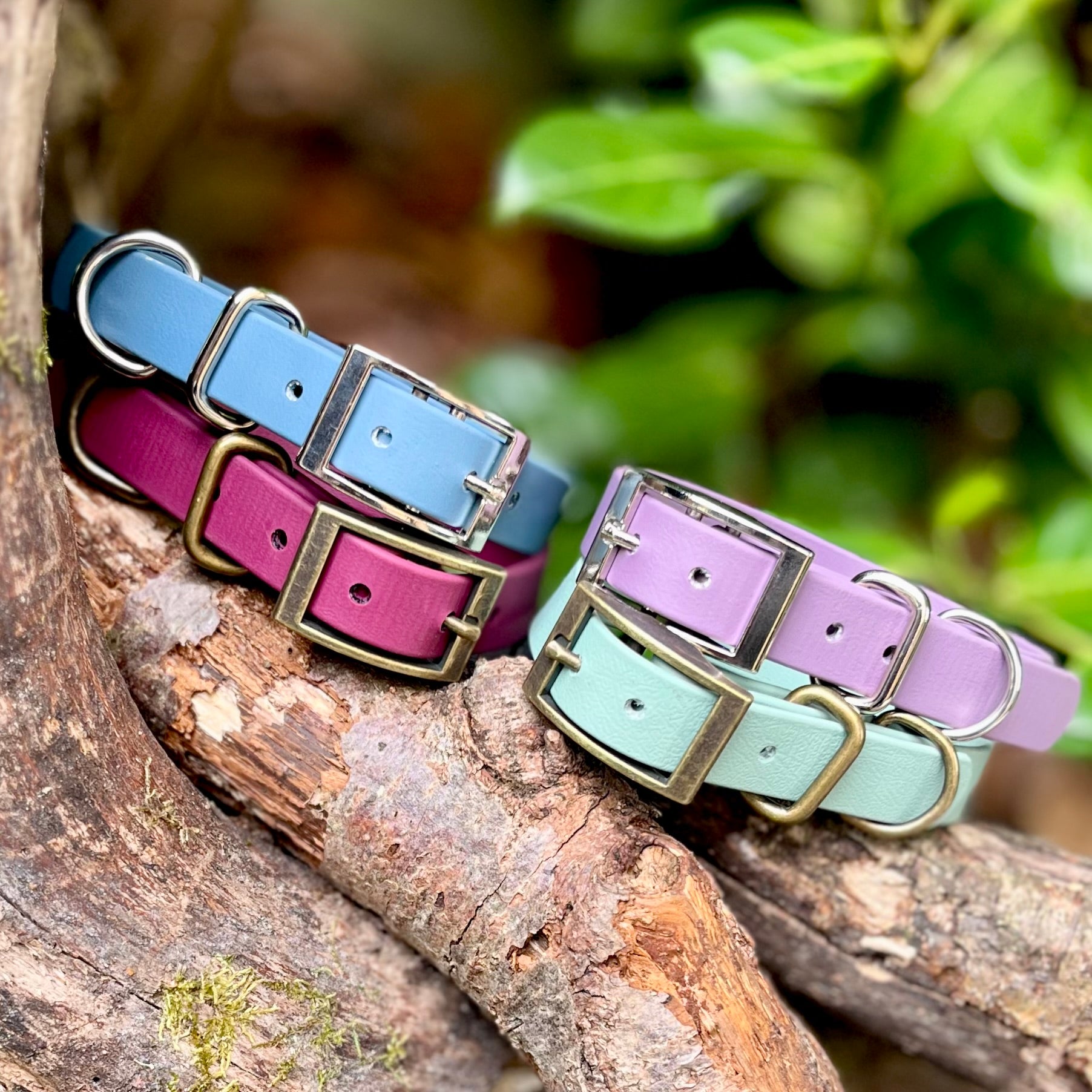 Four biothane colorful dog collars on a wooden branch with a natural background