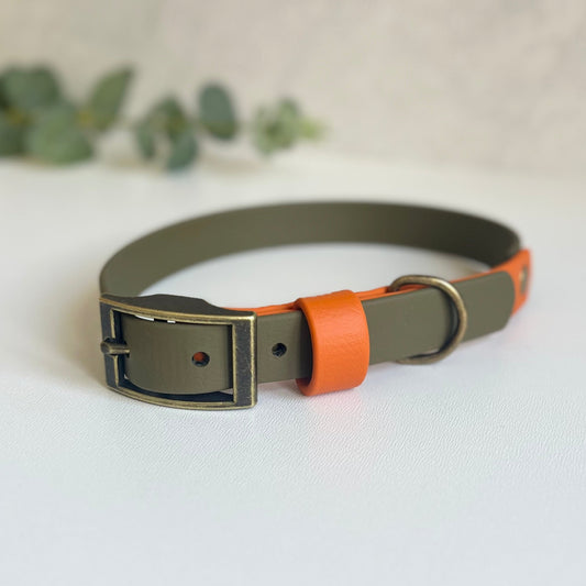 Dog collar with olive green and orange design on a light background