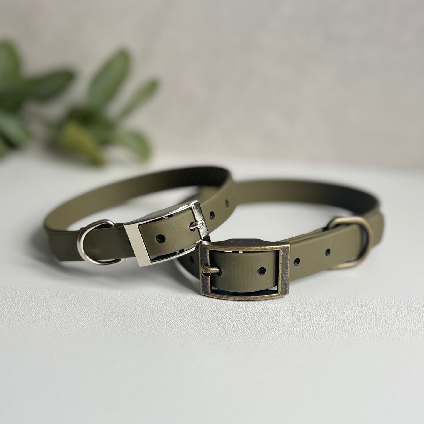 Two olive biothane dog collars with sliver and antique brass hardware sitting on a white surface