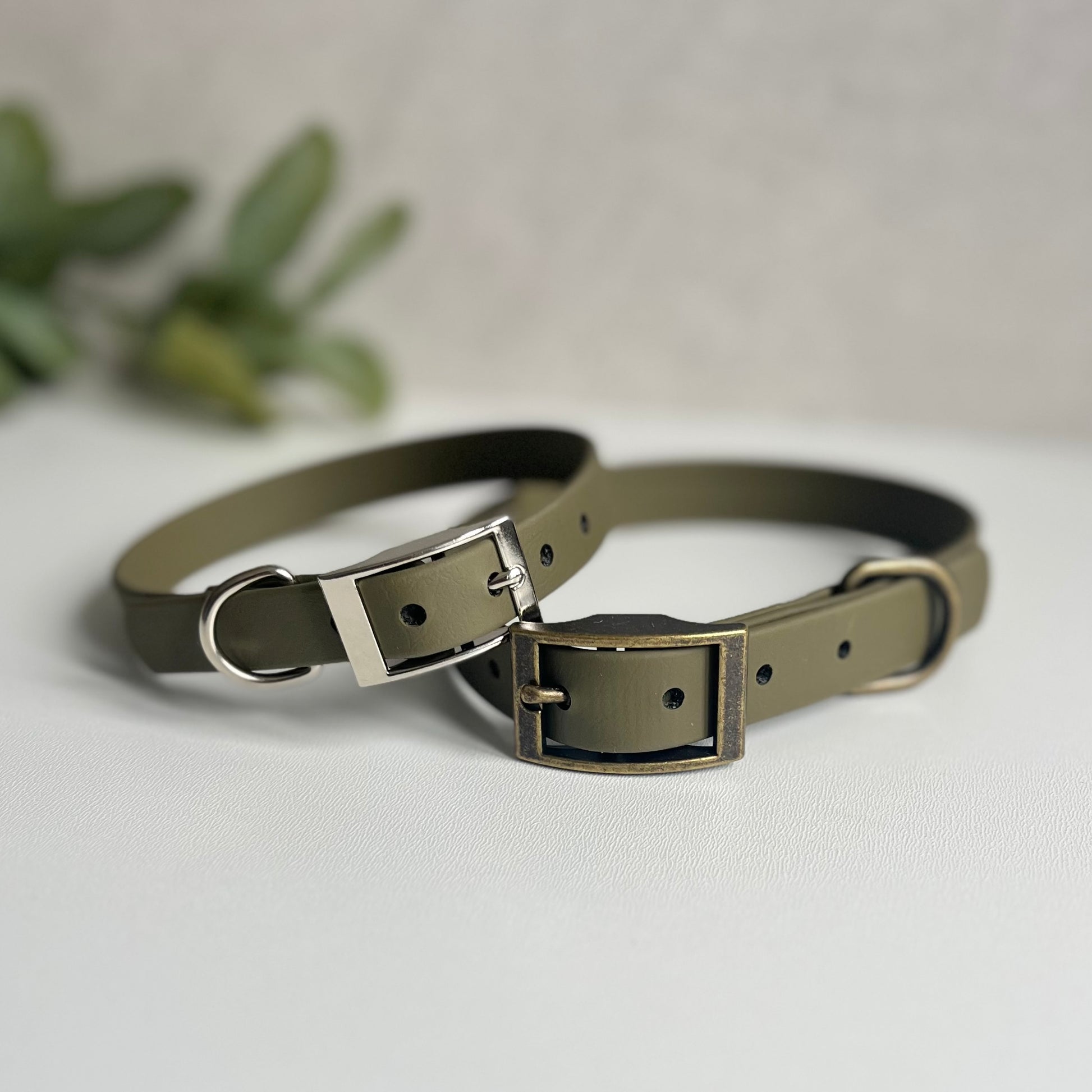 Two olive biothane dog collars with sliver and antique brass hardware sitting on a white surface