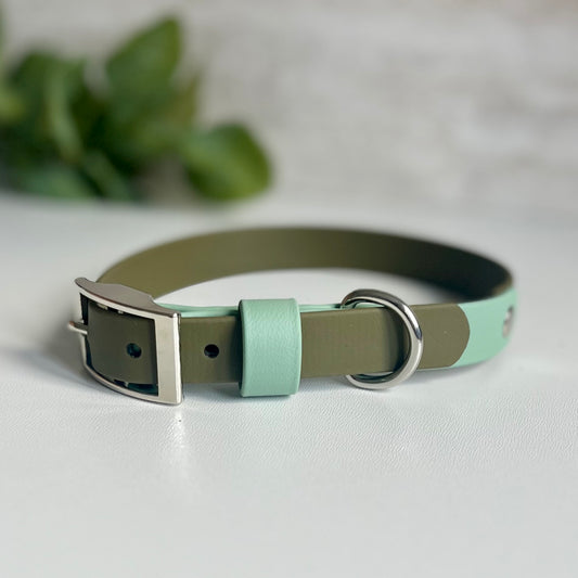 Olive green two tone dog collar with a silver buckle on a light background