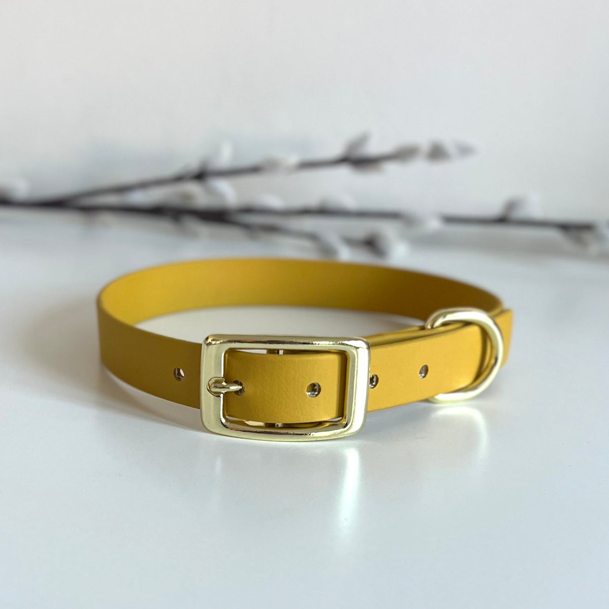 a mustard yellow biothane dog collar with gold hardware sitting on alight surface with twigs in the background