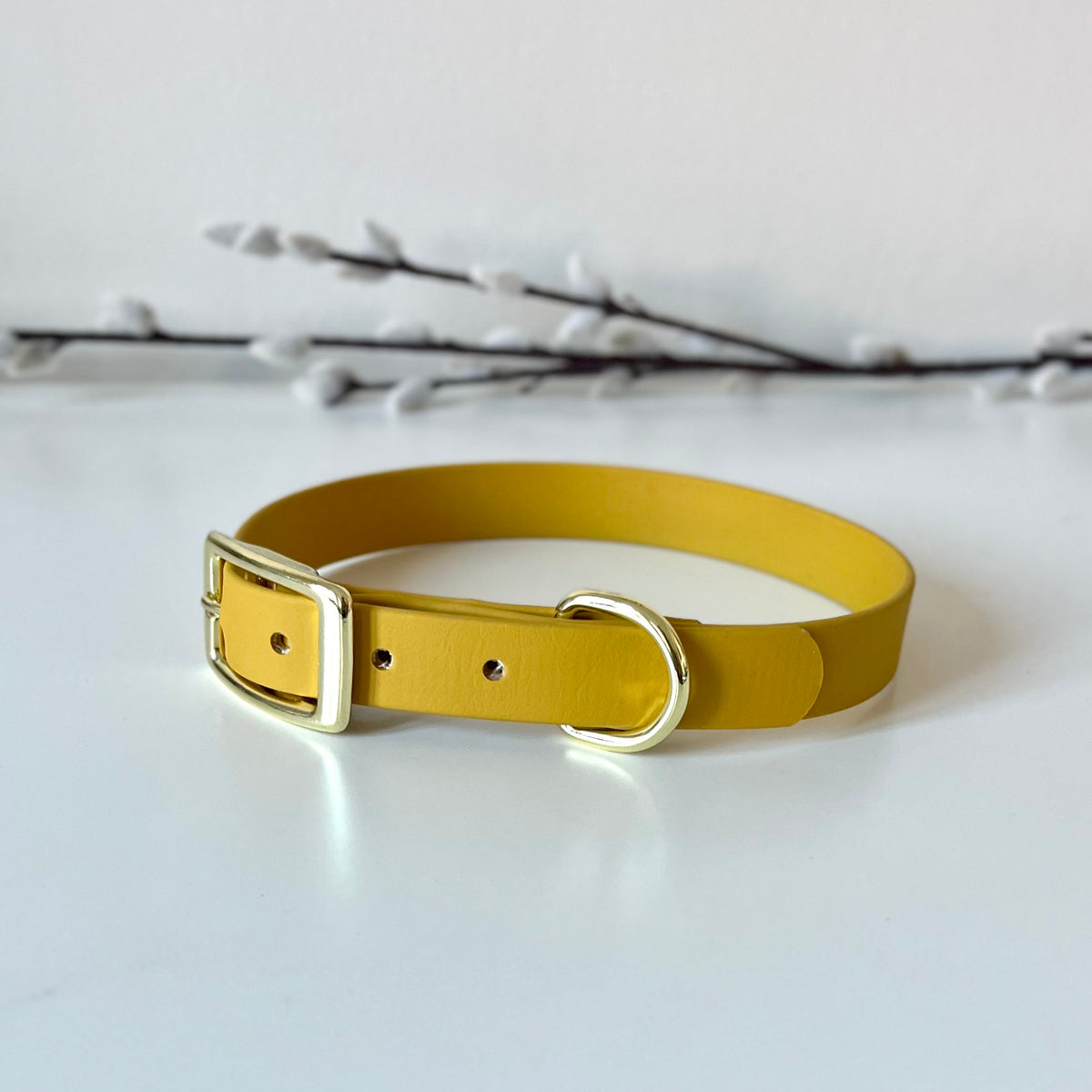 a mustard yellow biothane dog collar with gold hardware sitting on alight surface with twigs in the background