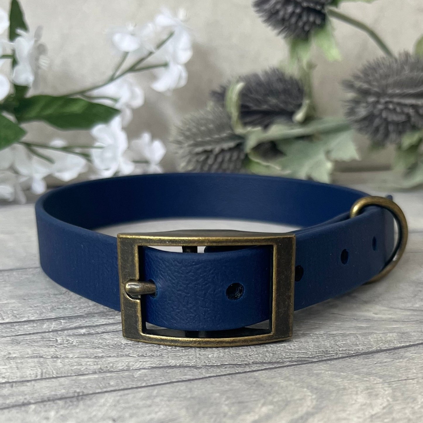 Navy Biothane dog collar with Antique Brass hardware. The collar is fastened with a buckle and has a d-ring. There are 5 punched holes spaced 2cm apart.