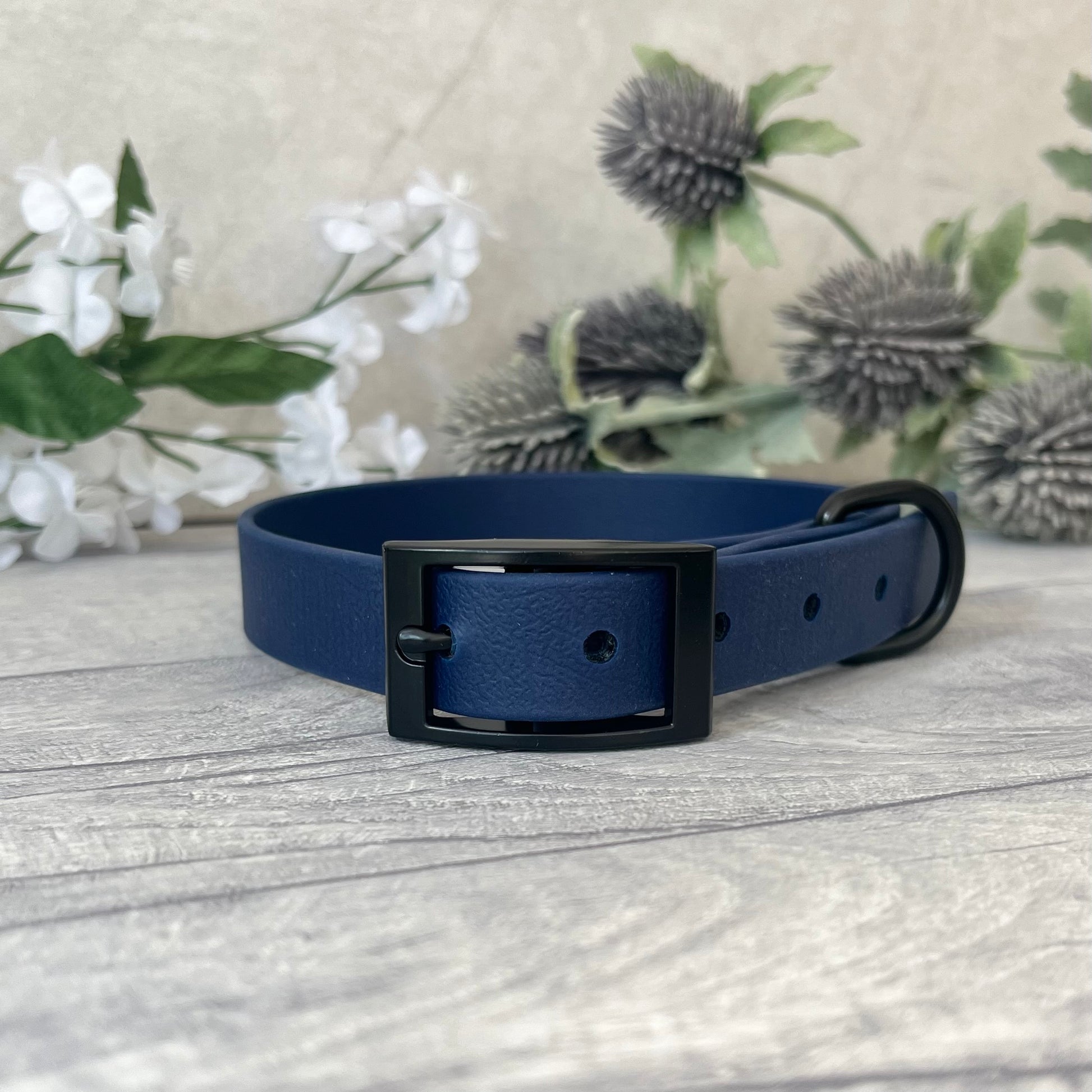 Navy Biothane dog collar with Black hardware. The collar is fastened with a buckle and has a d-ring. There are 5 punched holes spaced 2cm apart.