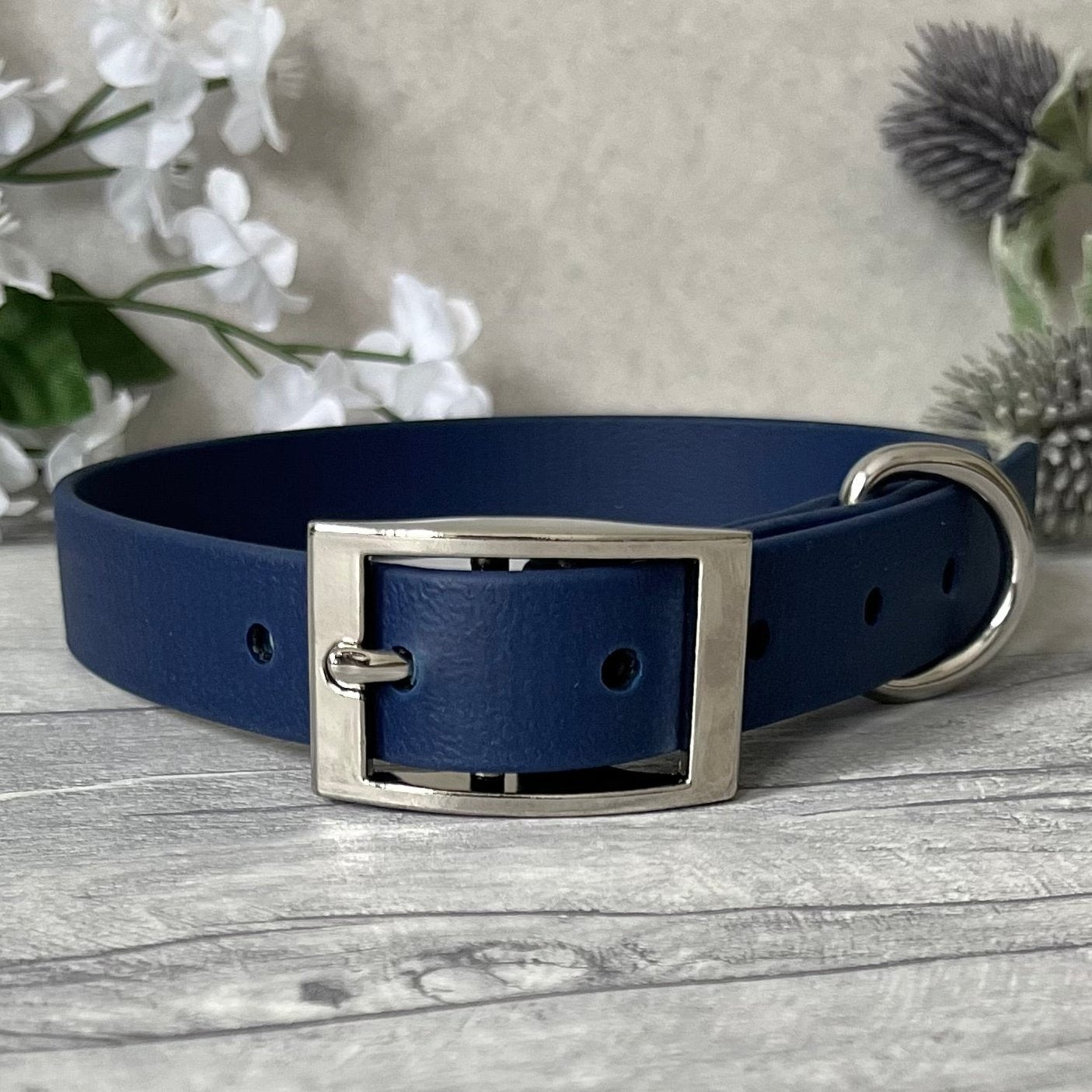 Navy Biothane dog collar with Silver hardware. The collar is fastened with a buckle and has a d-ring. There are 5 punched holes spaced 2cm apart.