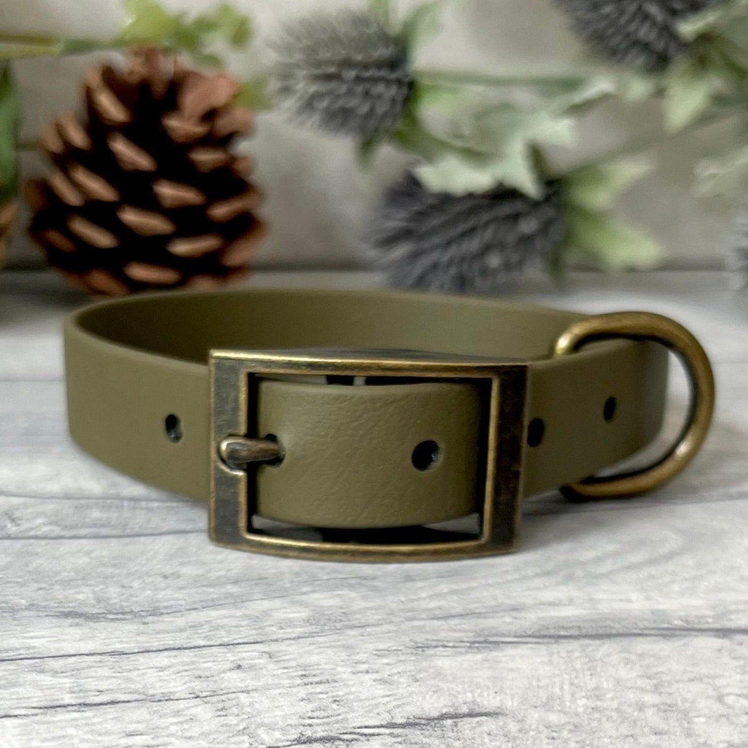 Olive Green Biothane dog collar with Antique Brass hardware. The collar is fastened with a buckle and has a d-ring. There are 5 punched holes spaced 2cm apart.