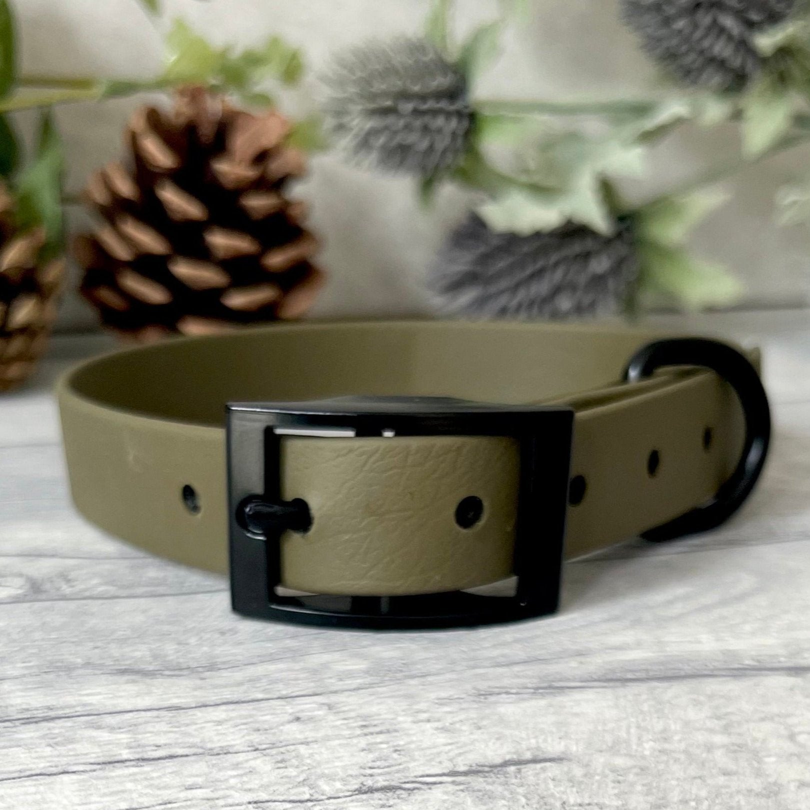 Olive Green Biothane dog collar with Black hardware. The collar is fastened with a buckle and has a d-ring. There are 5 punched holes spaced 2cm apart.