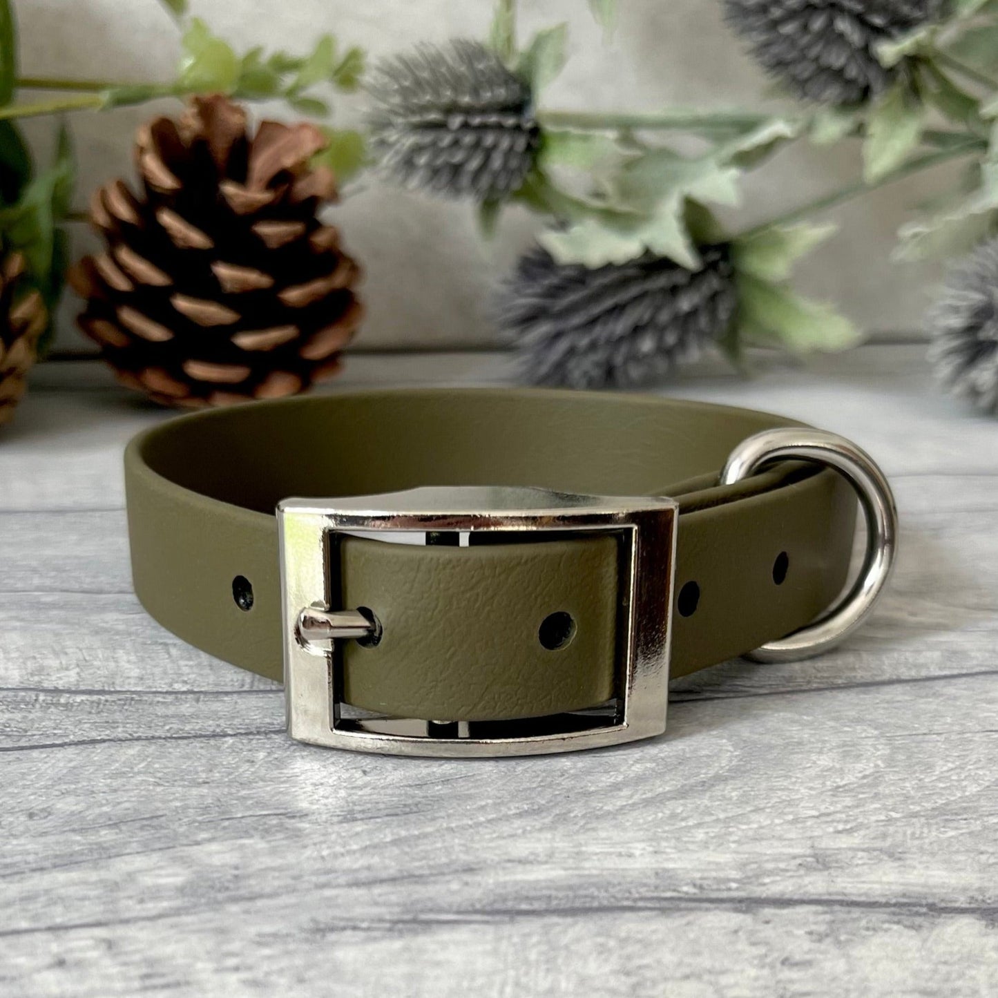 Olive Green Biothane dog collar with Silver hardware. The collar is fastened with a buckle and has a d-ring. There are 5 punched holes spaced 2cm apart.