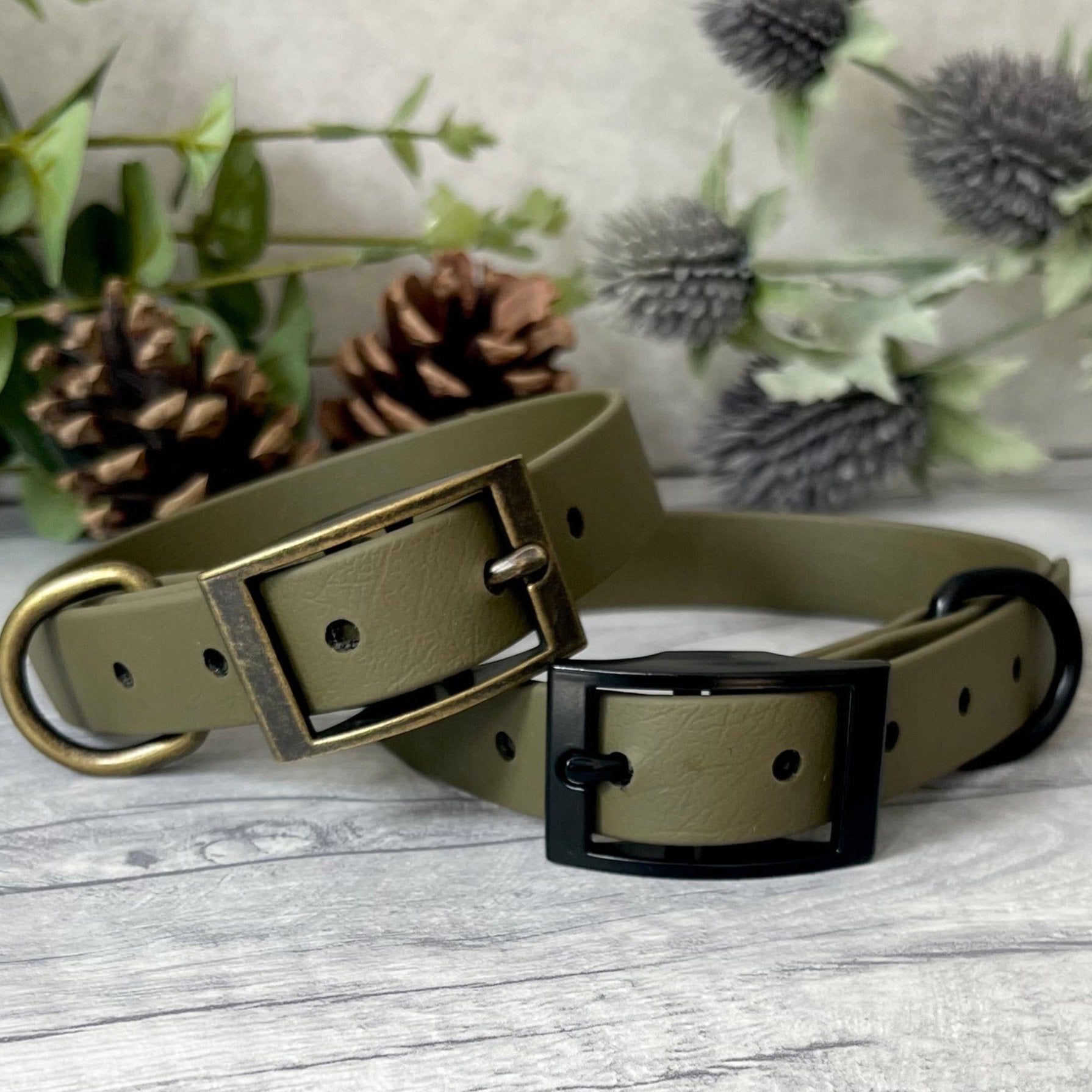 Two Olive Green Biothane dog collars with Antique Brass & Black hardware. The collars are fastened with a buckle and have a d-ring. There are 5 punched holes spaced 2cm apart.