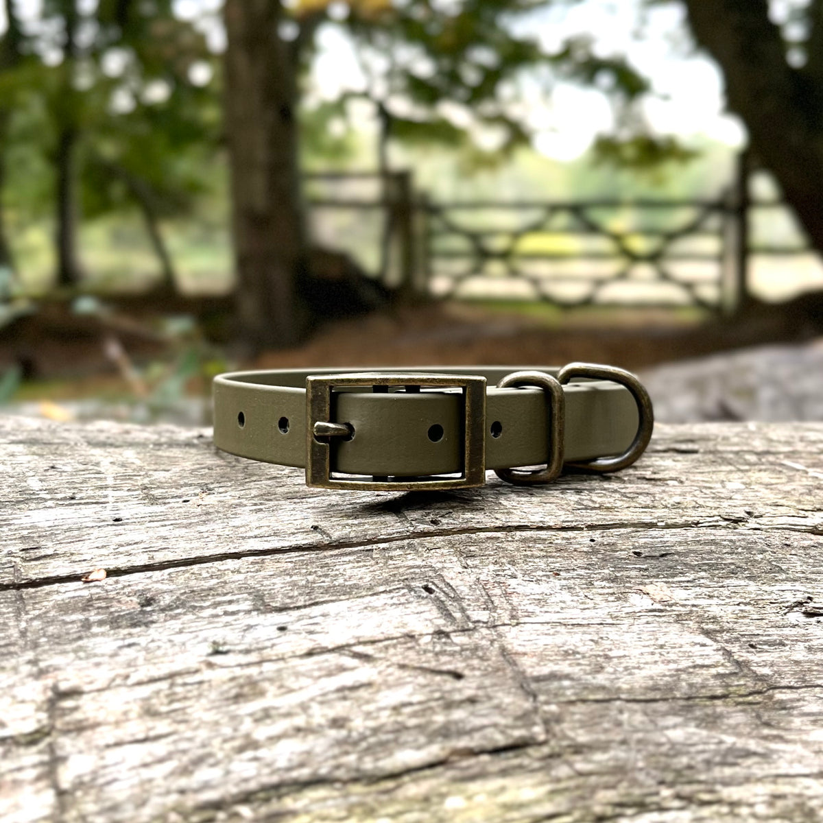 An olive green Biothane dog collar with an antique bronze buckle, resting on a weathered wooden log with a blurred outdoor background of trees and a fence.