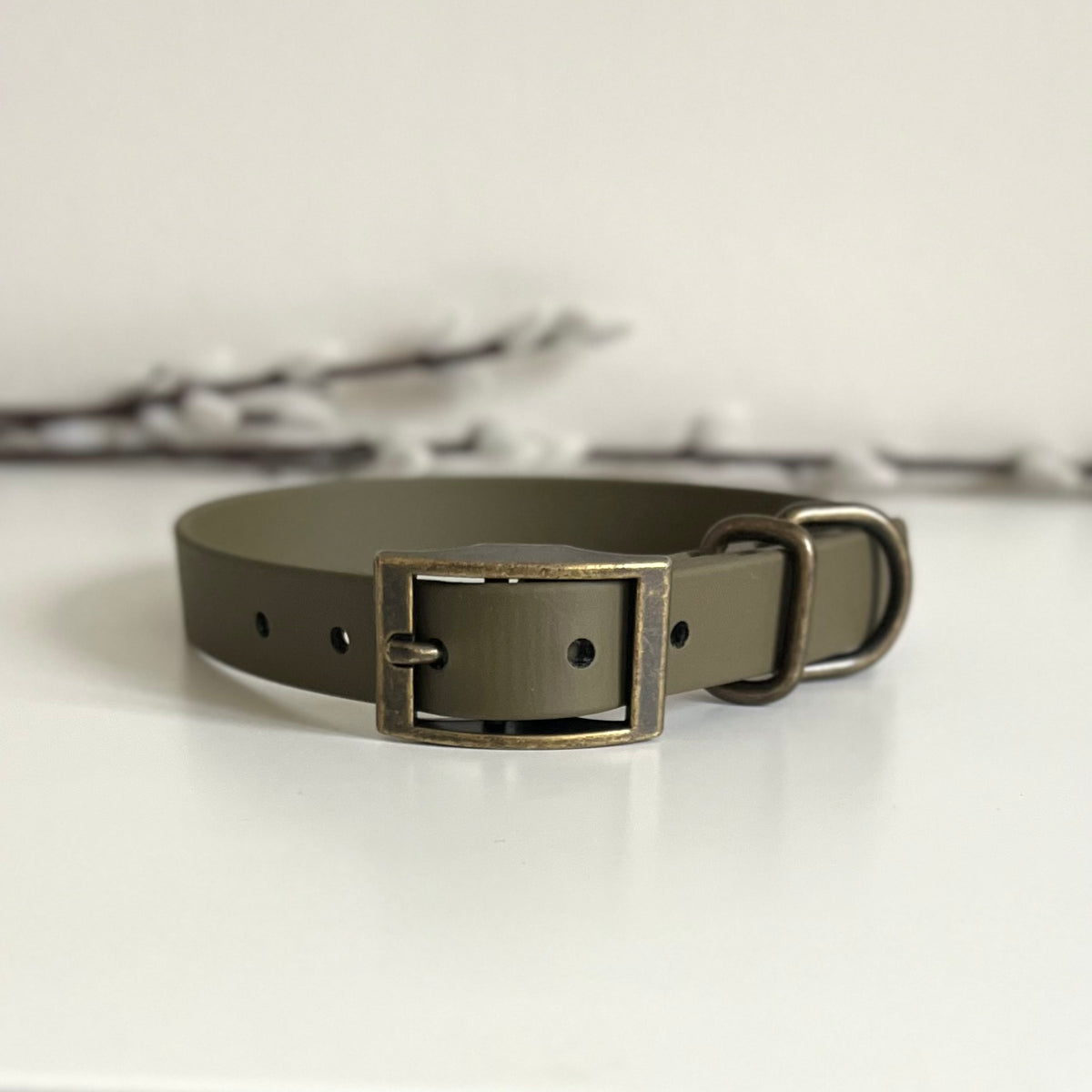 An olive green Biothane dog collar with an antique bronze buckle, displayed on a clean white surface with a soft-focus background.