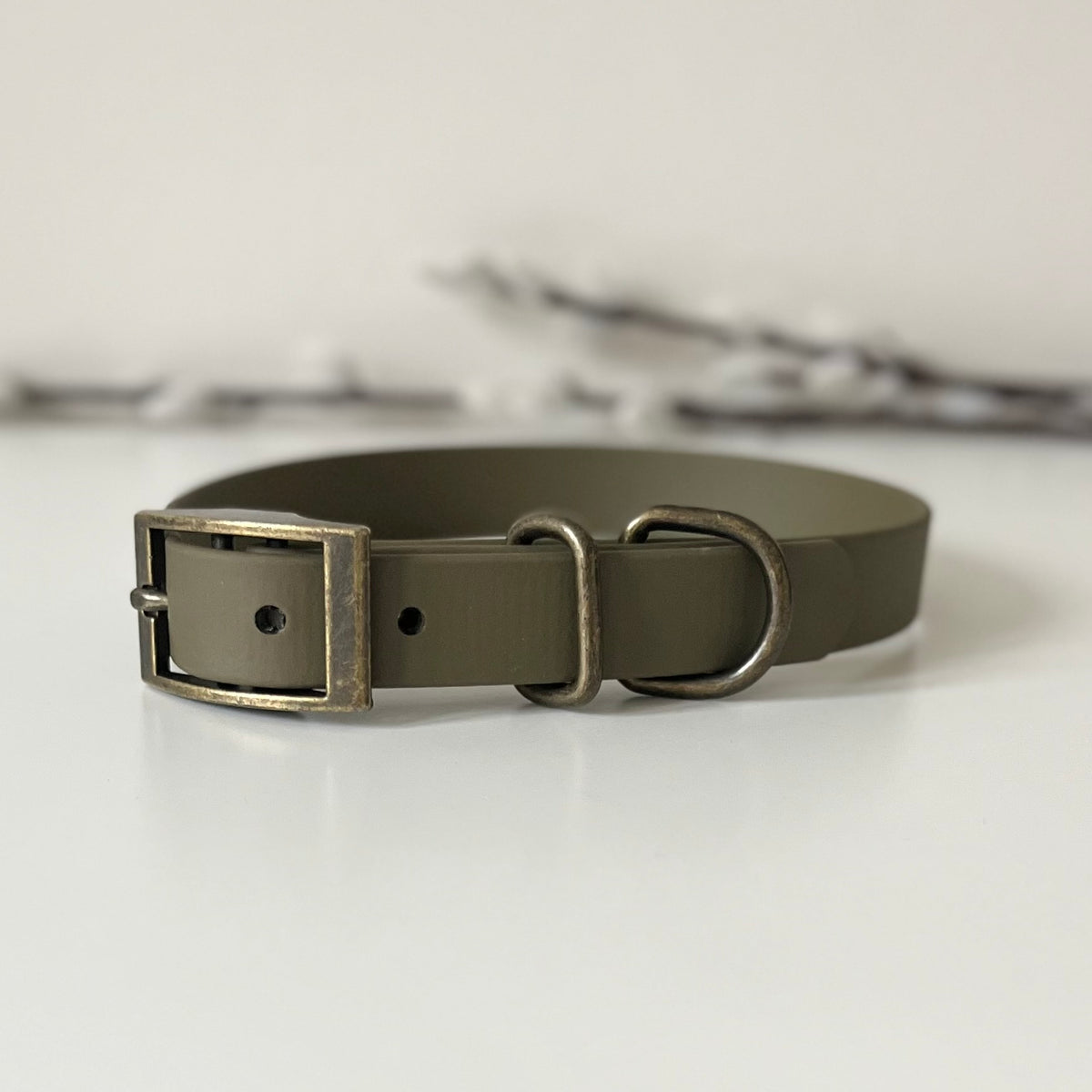 An olive green Biothane dog collar with an antique bronze metal buckle and D-ring, displayed on a clean white surface.