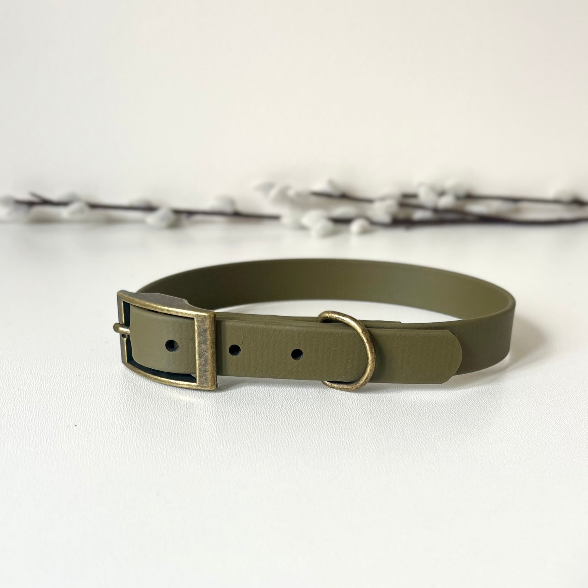 Olive green biothane dog collar with antique brass
