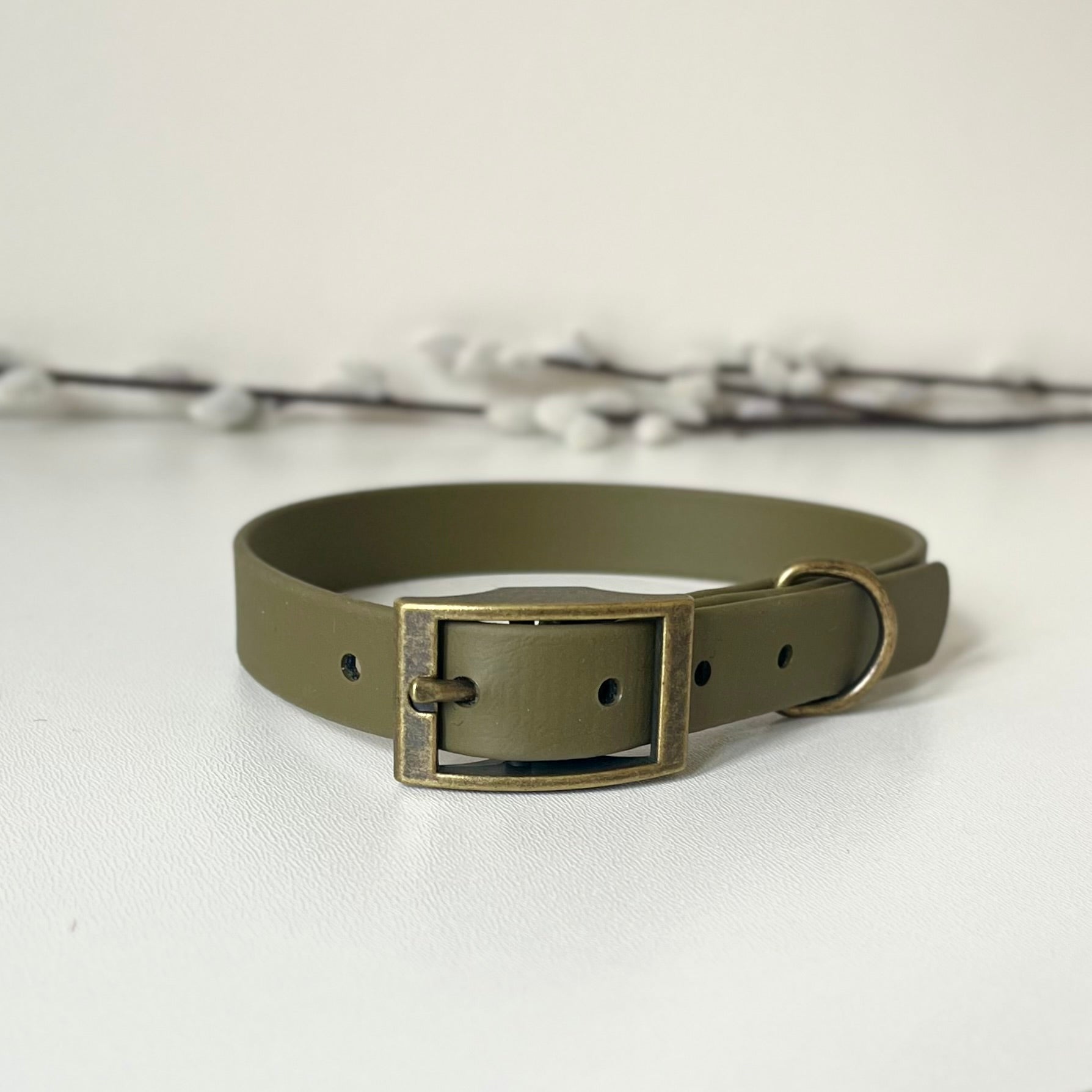 Olive green biothane dog collar with antique brass