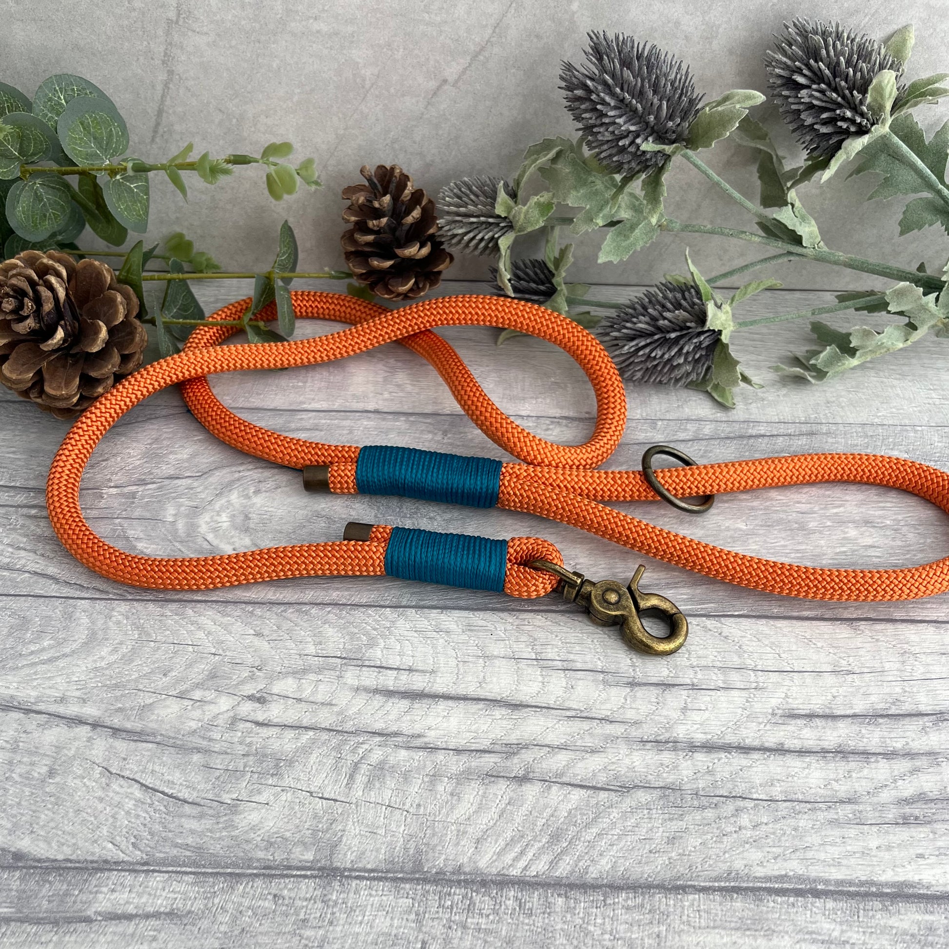 Orange rope lead with Aqua whipping securing a swivel clip at one end and fastening a handle at the other. The handle has an O-ring attached. Each end of the rope is finished with a metal end cap. All hardware for this lead is in Antique Brass