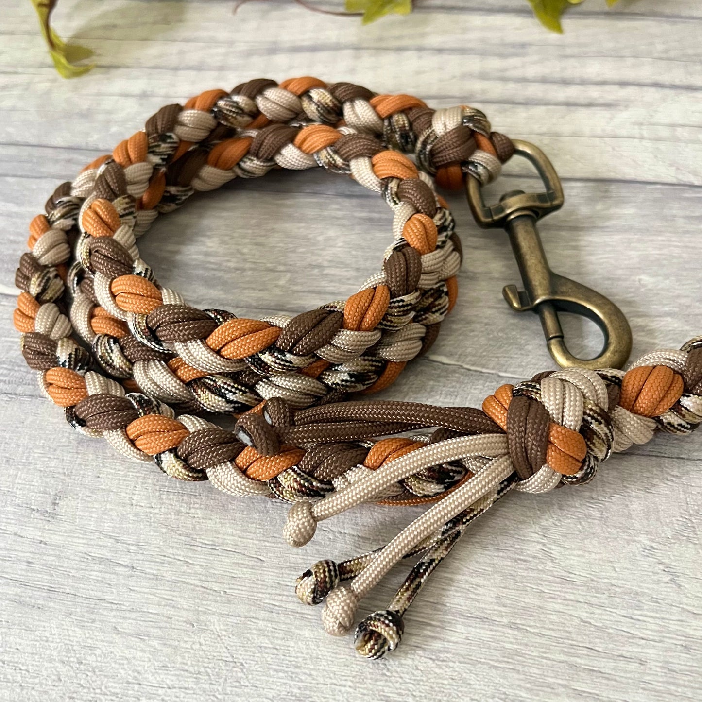 Autumn Trail Braided Rope Lead