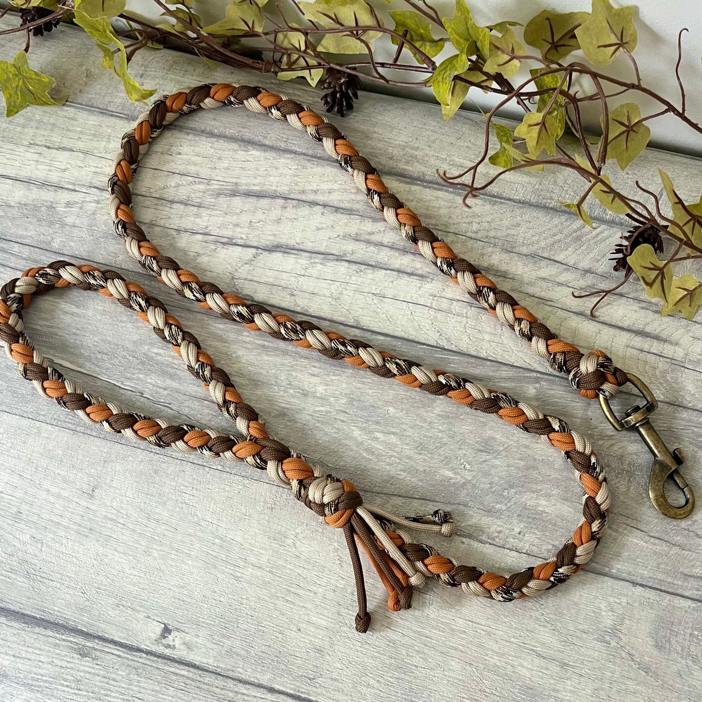 Autumn Trail Braided Rope Lead