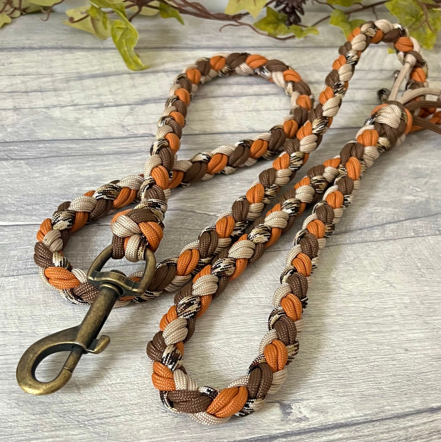 Autumn Trail Braided Rope Lead