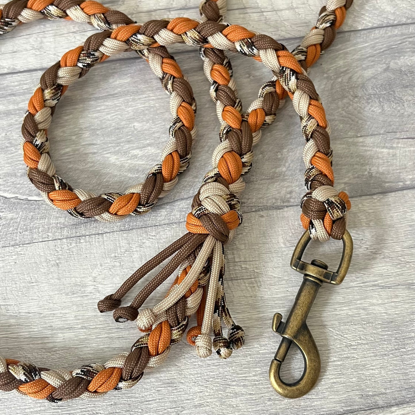 Autumn Trail Braided Rope Lead