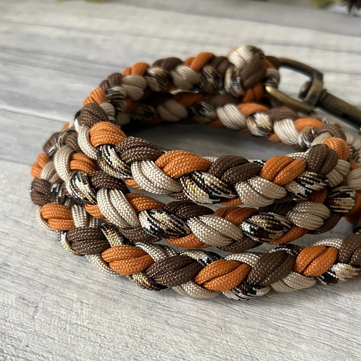 Autumn Trail Braided Rope Lead