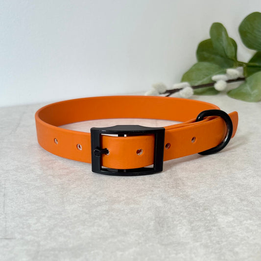 Orange Biothane dog collar with Black hardware. The collar is fastened with a buckle and has a d-ring. There are 5 punched holes spaced 2cm
