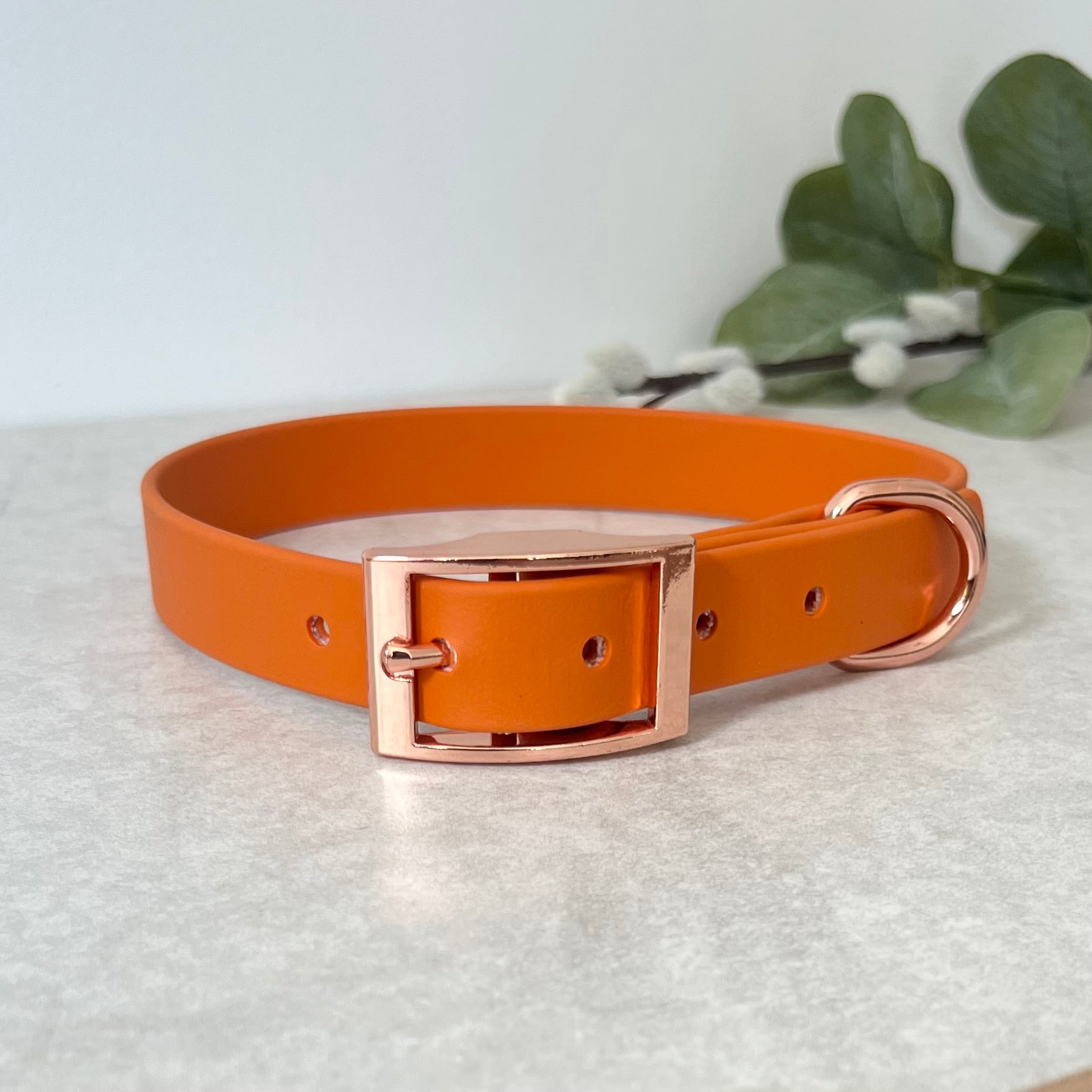 Orange Biothane dog collar with Rose Gold hardware. The collar is fastened with a buckle and has a d-ring. There are 5 punched holes spaced 2cm