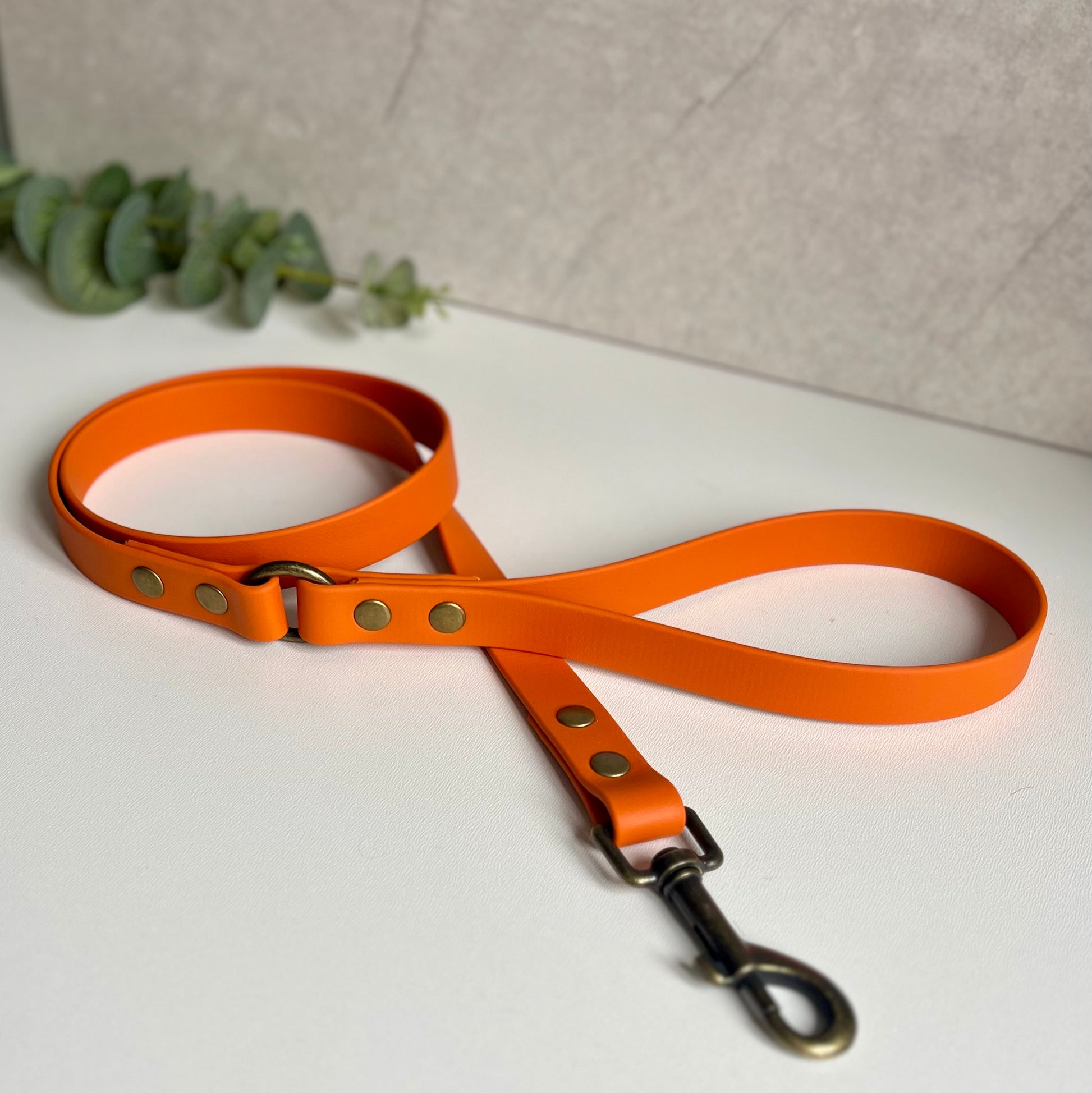 Orange dog lead with antique brass hardware on a white background
